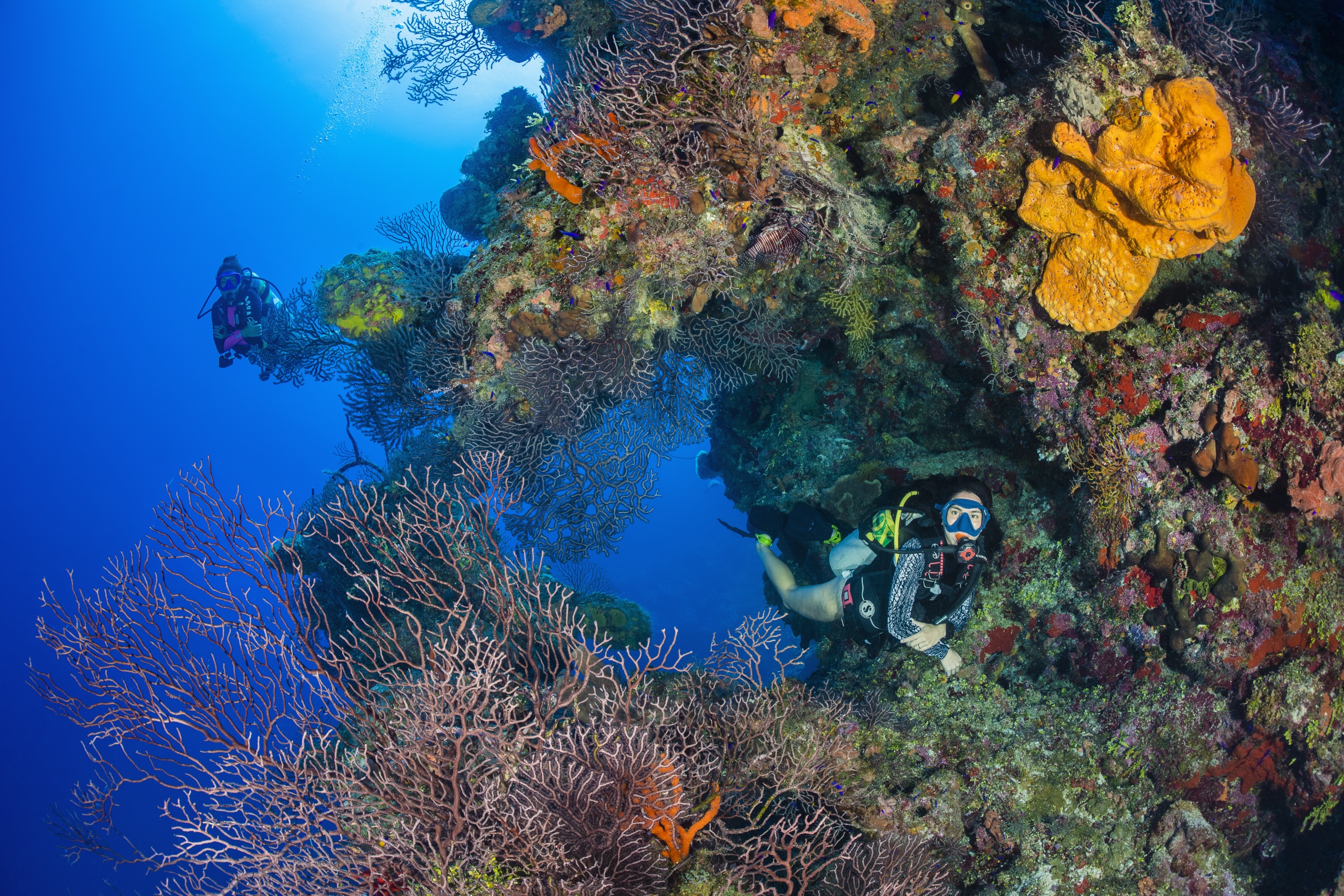 Black Rock Drop Off dive site - Image 1