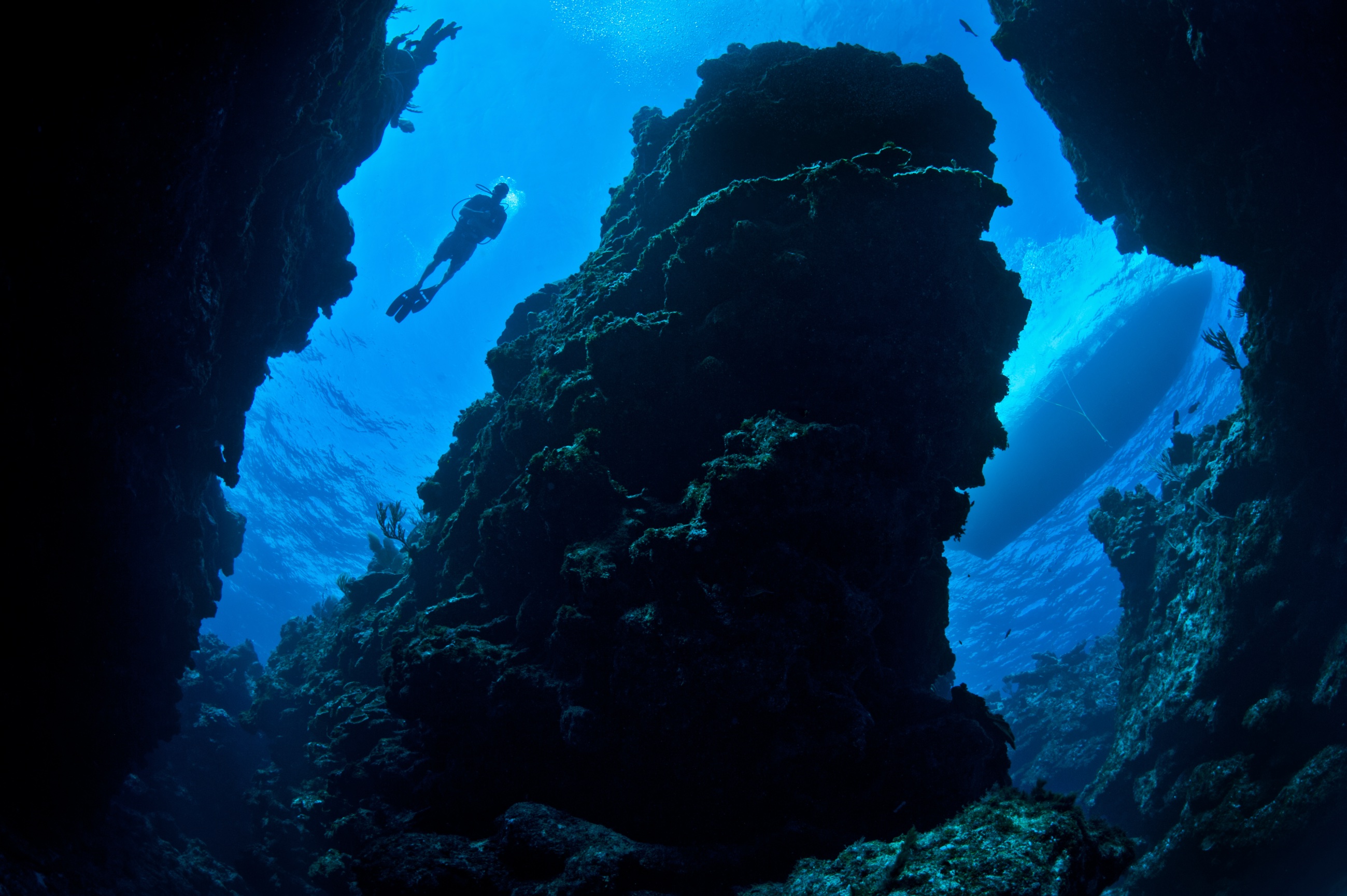 Lighthouse Wall dive site - Image 1