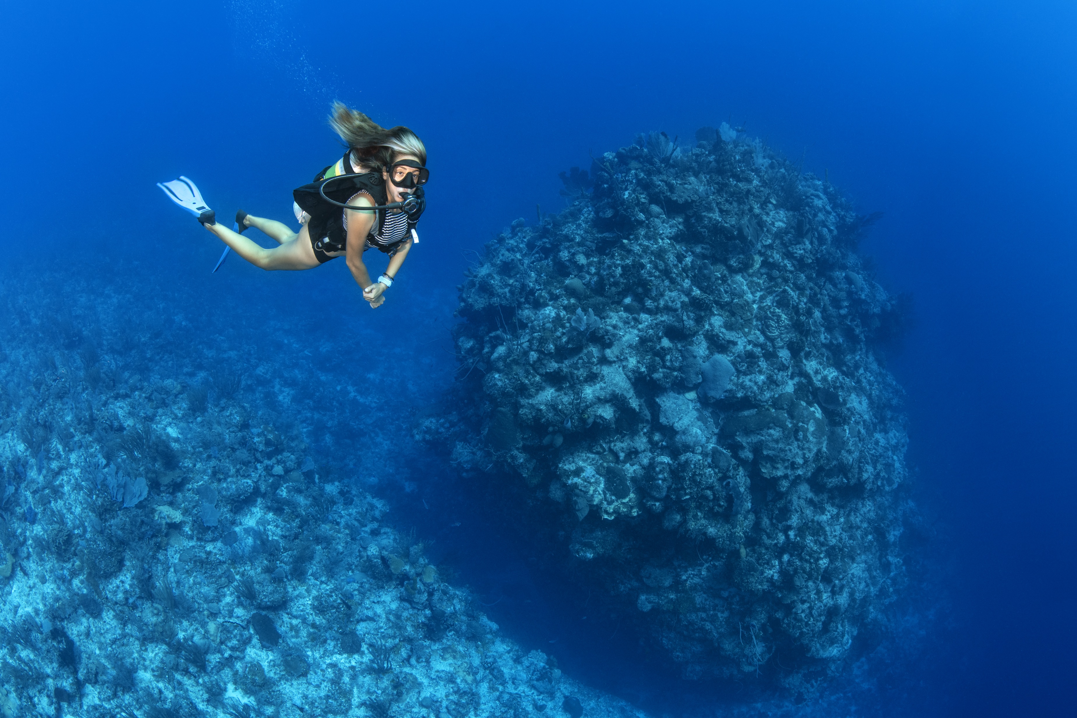 Three Sisters dive site - Image 2