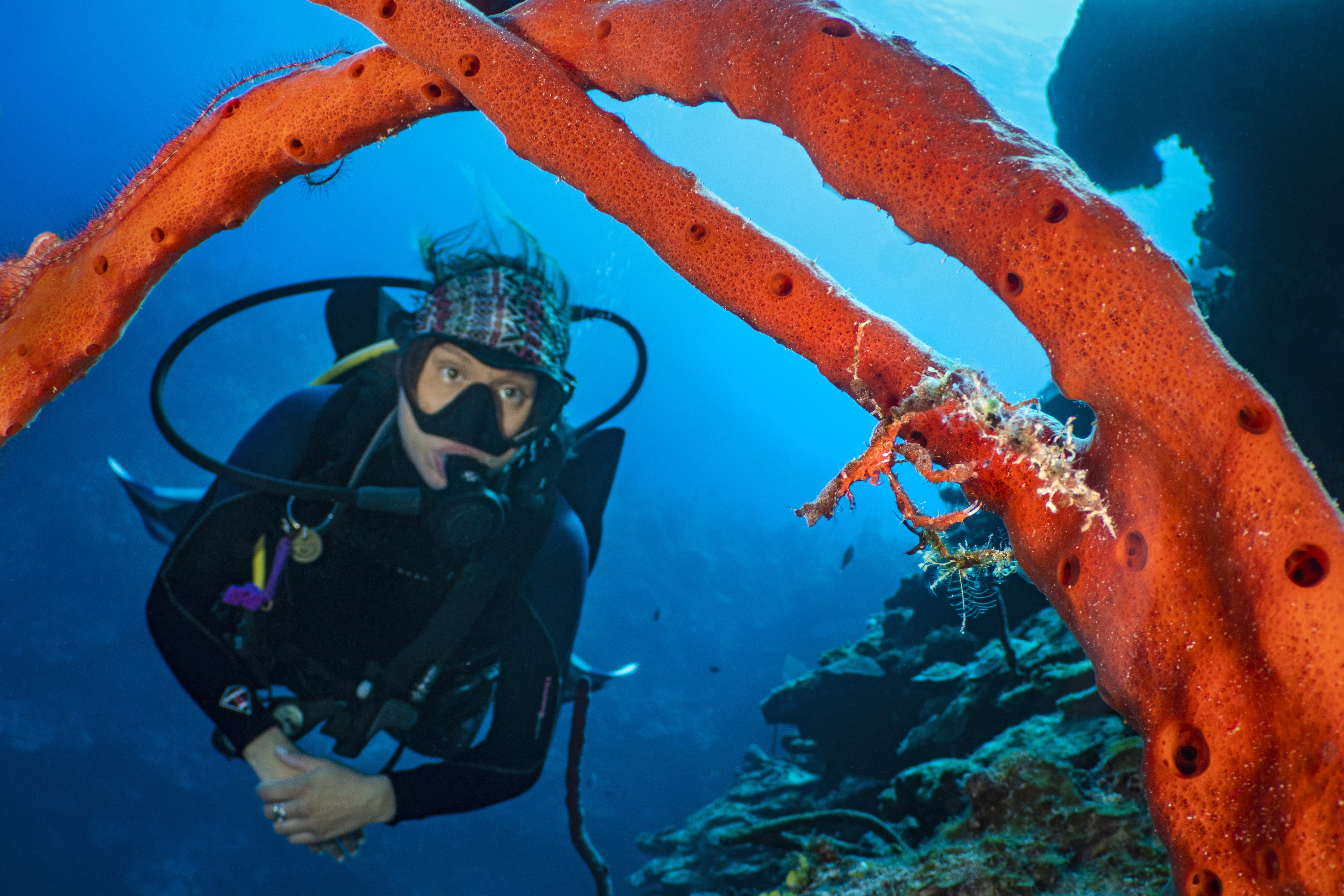Babylon dive site - Image 2