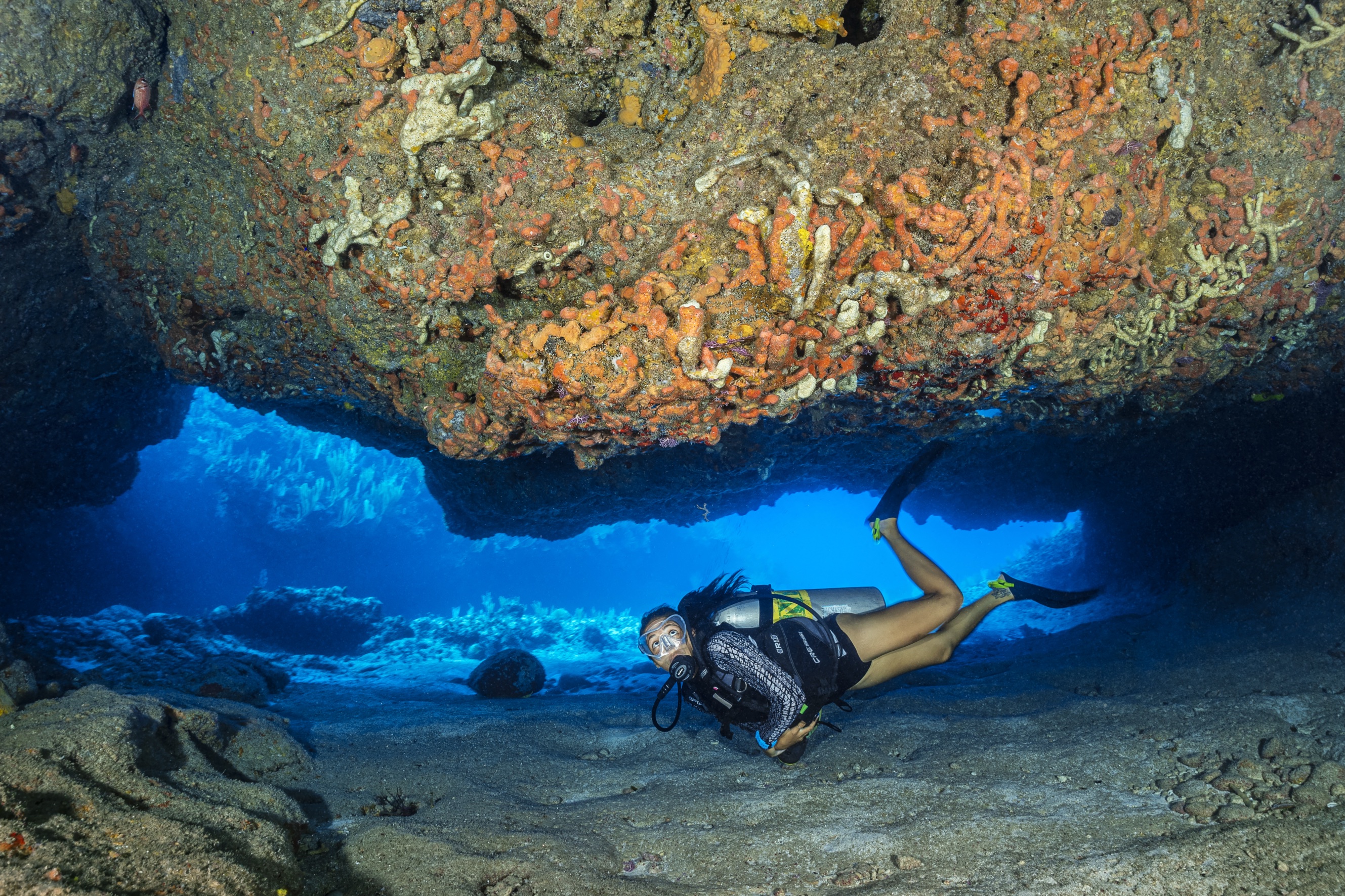 Gigglin' Marlin Legacy dive site - Image 1
