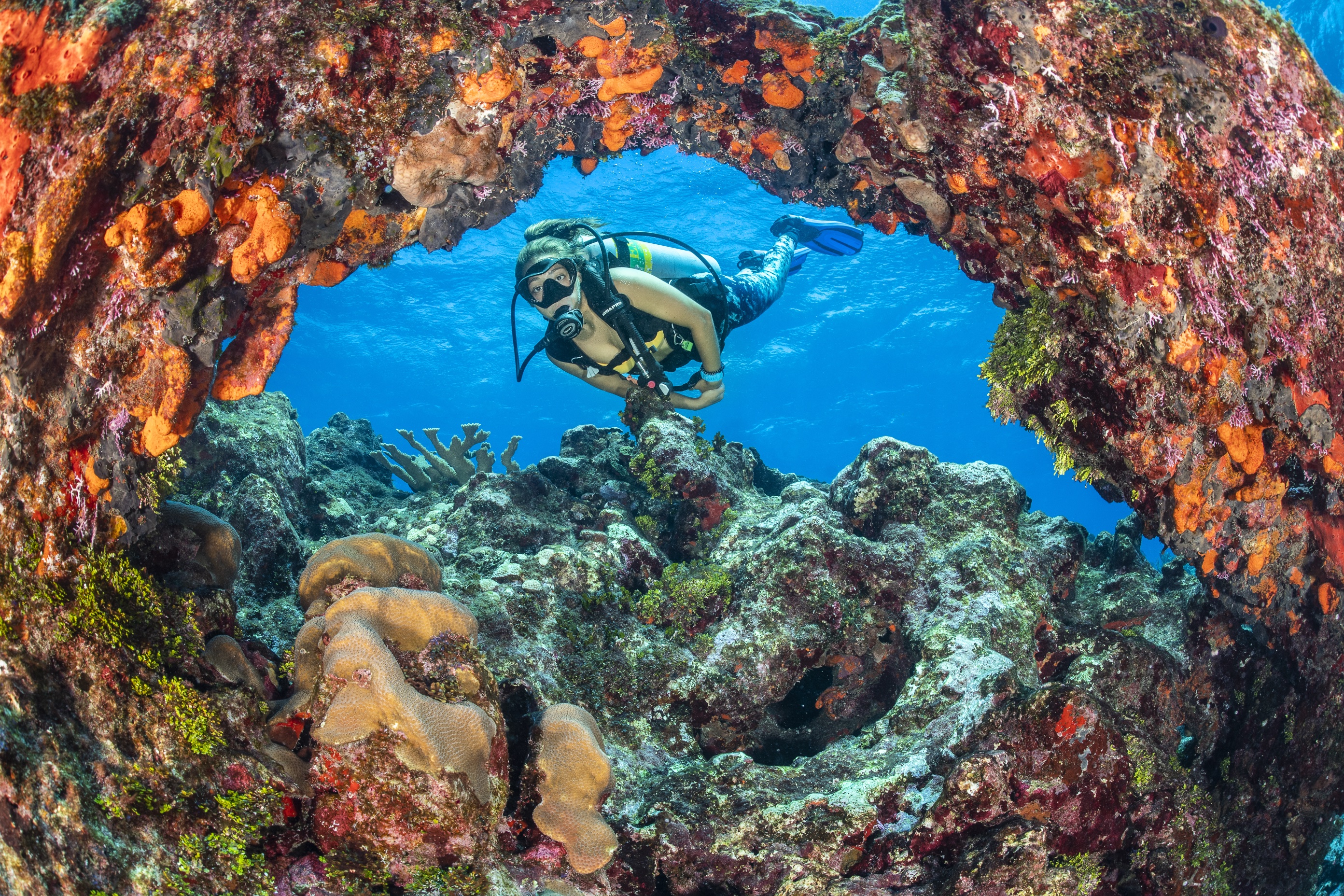 Grouper Grotto dive site - Image 2