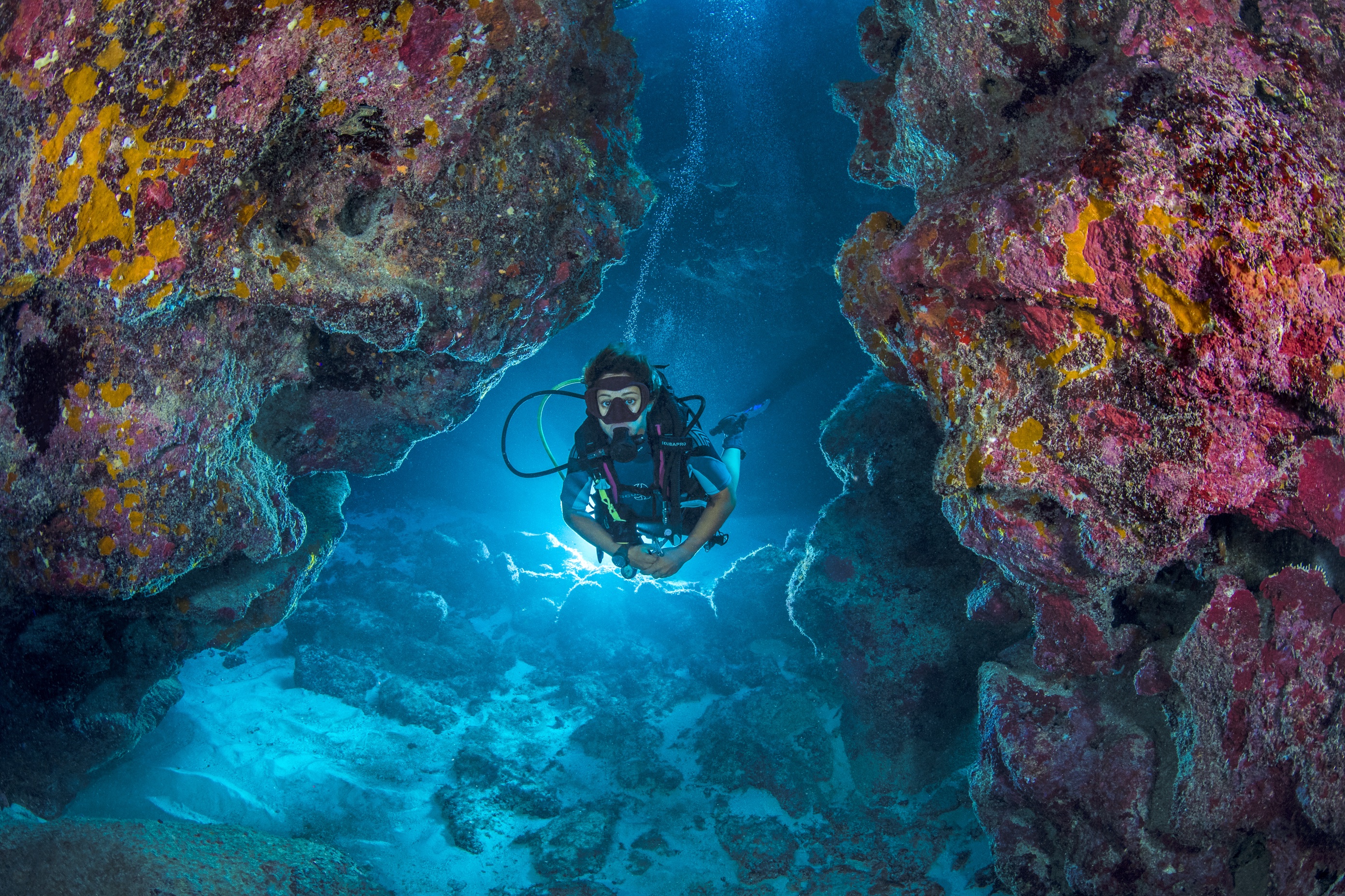 Ironshore Gardens dive site - Image 2