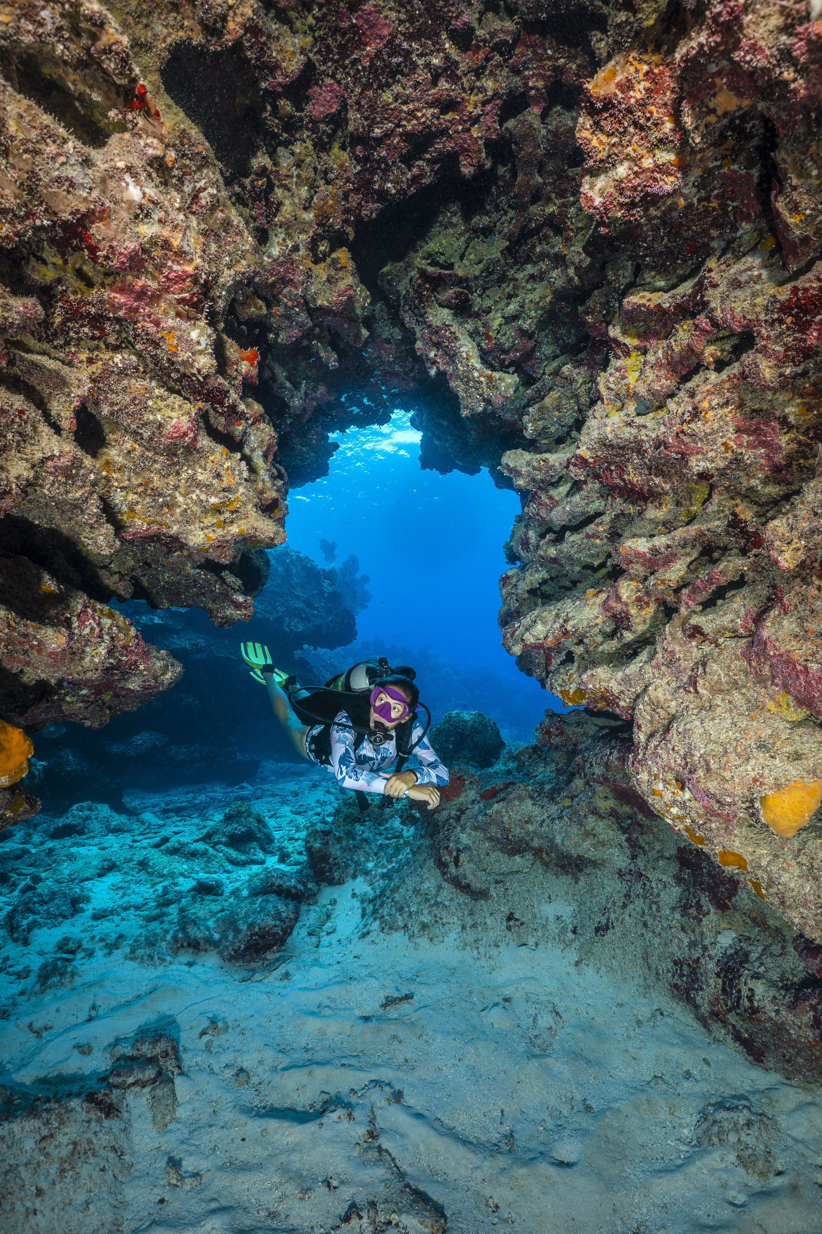 Big House dive site - Image 1
