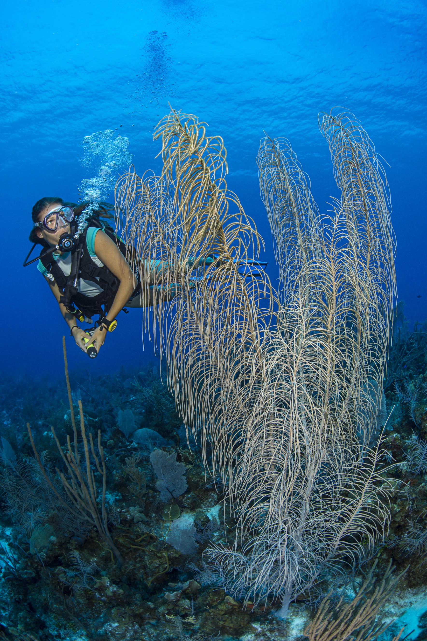 Lost Valley dive site - Image 2