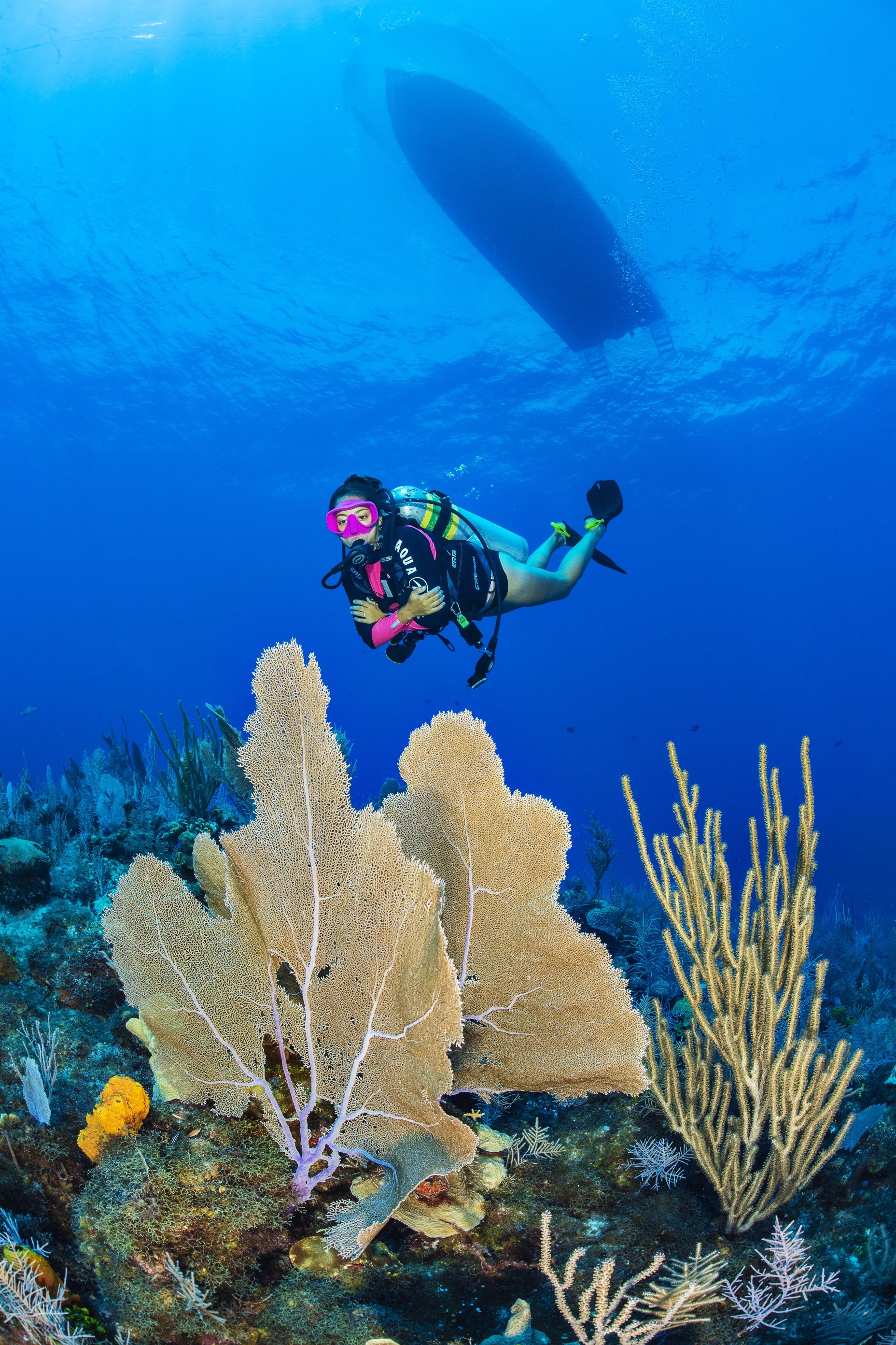 Black Rock Reef dive site - Image 2