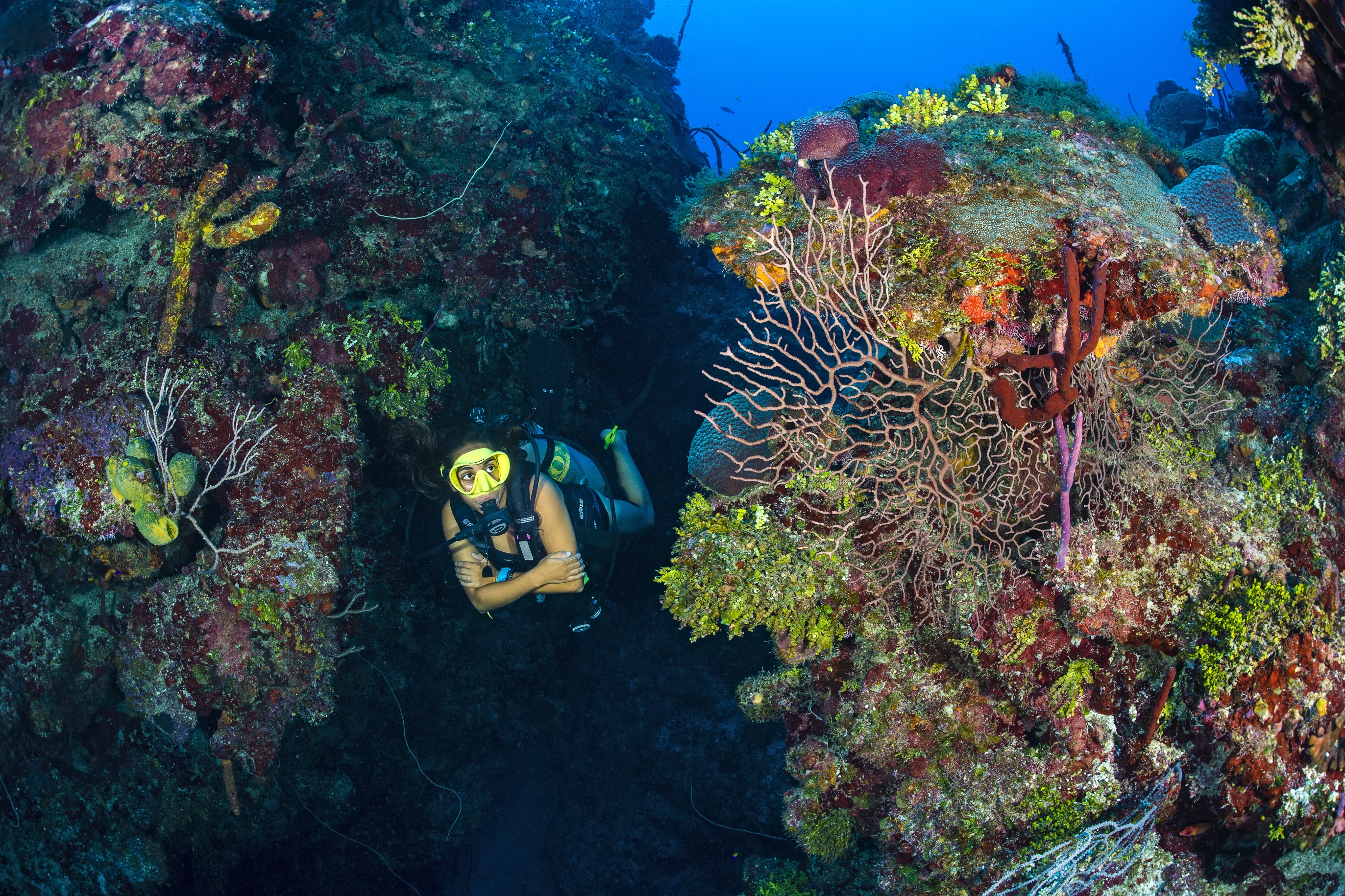 Lost Valley dive site - Image 1