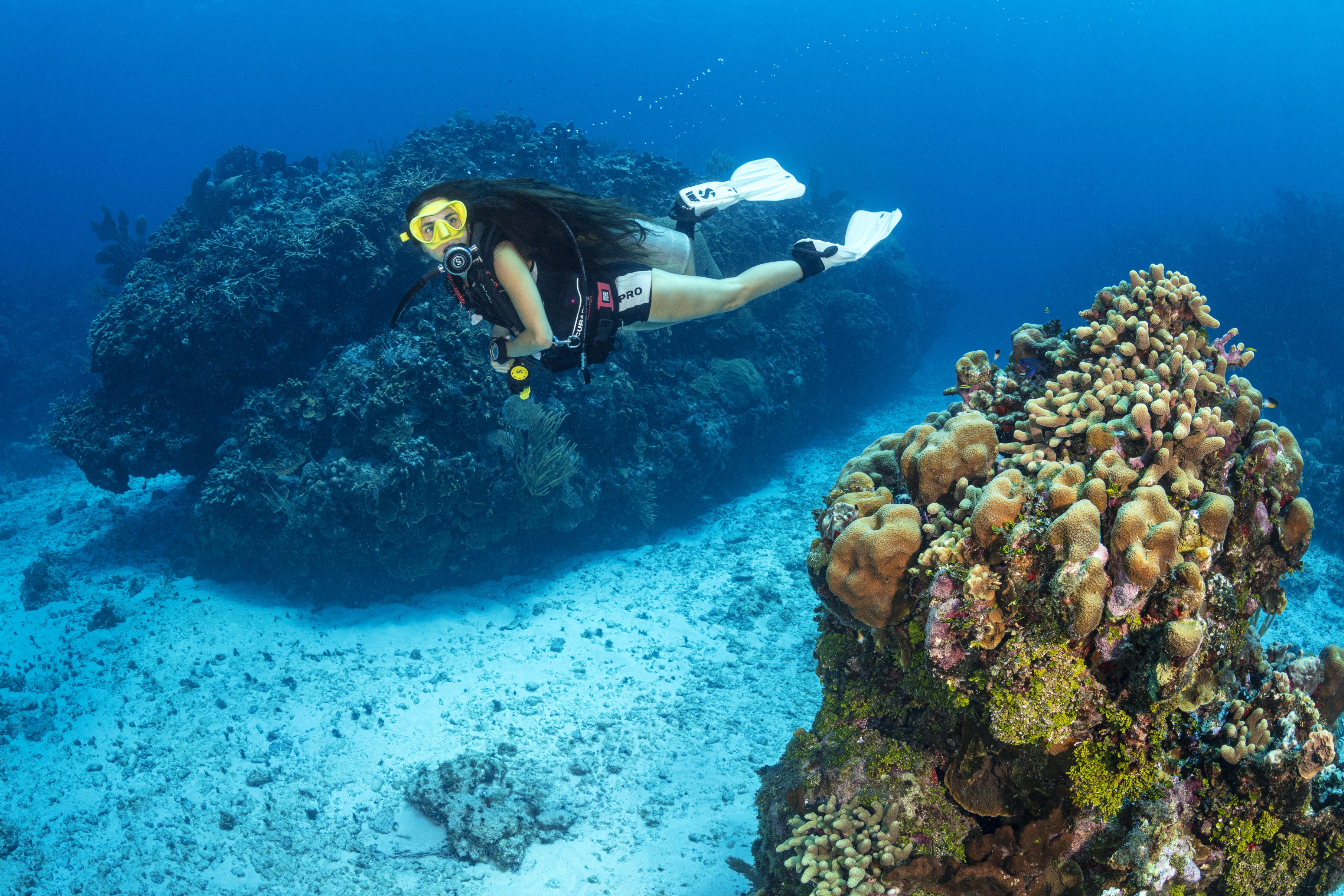 Old Isaac's dive site - Image 1