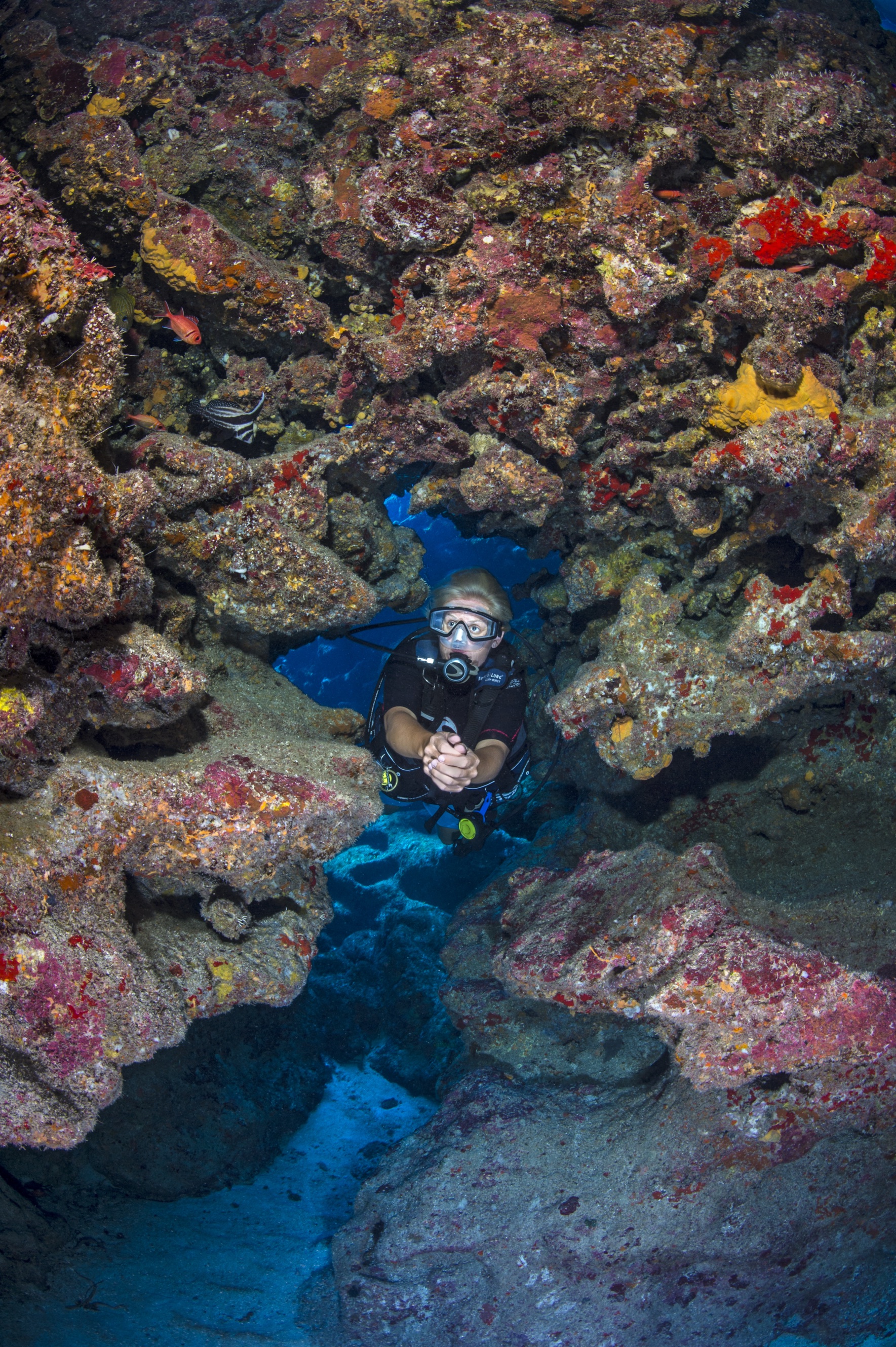 Pat's Wall dive site - Image 1