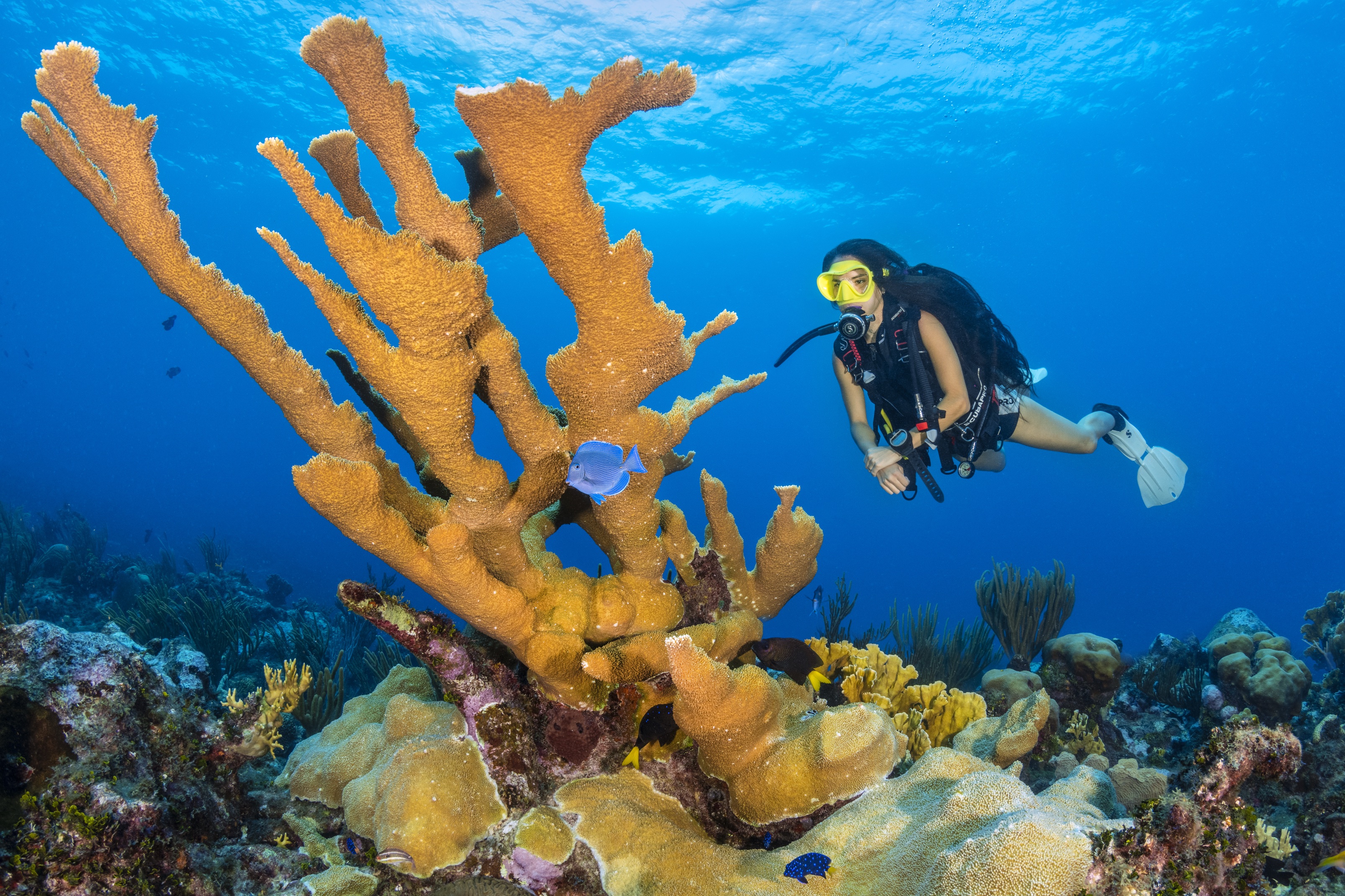 River of Sands dive site - Image 1