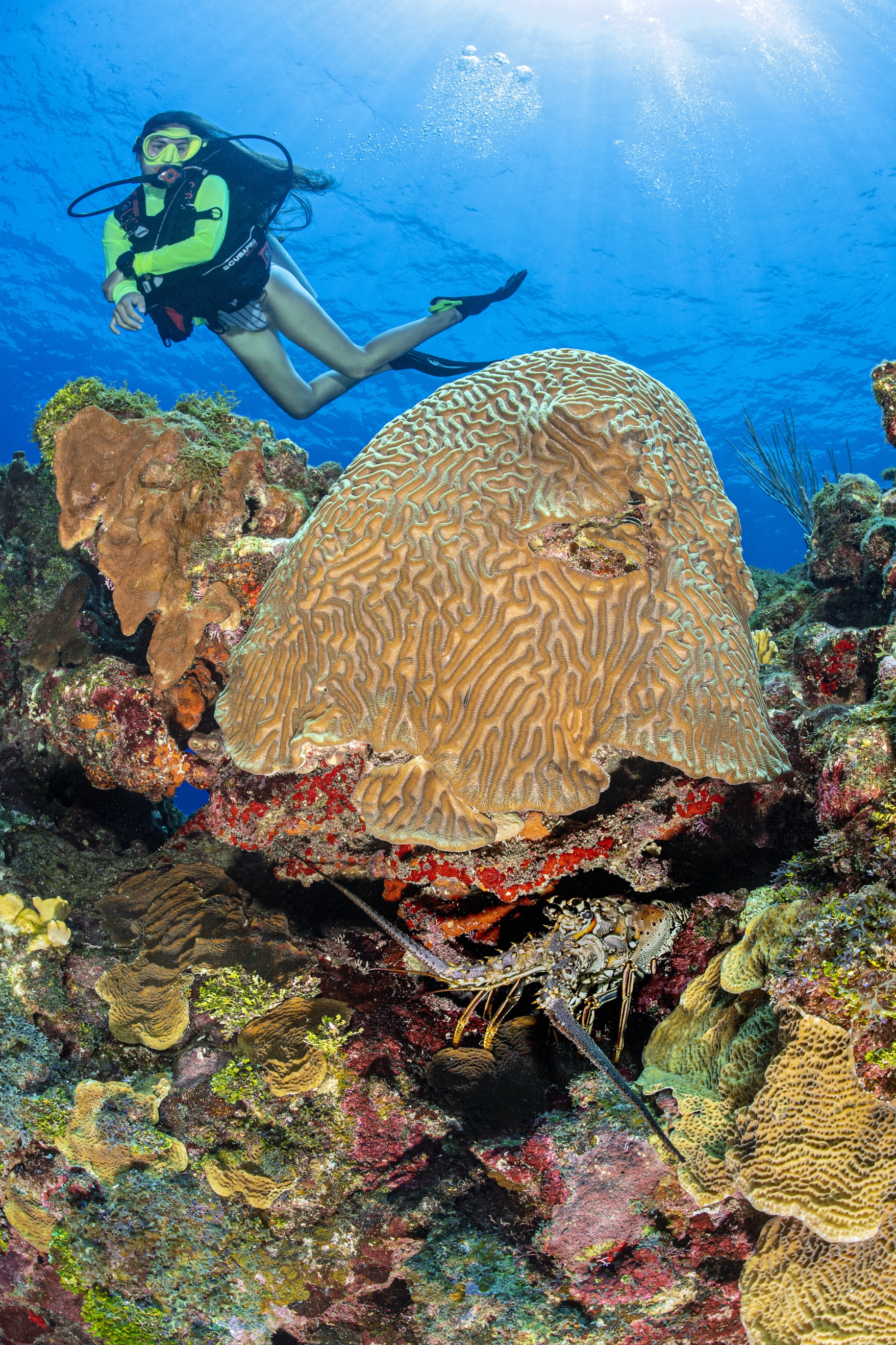 River of Sands dive site - Image 2