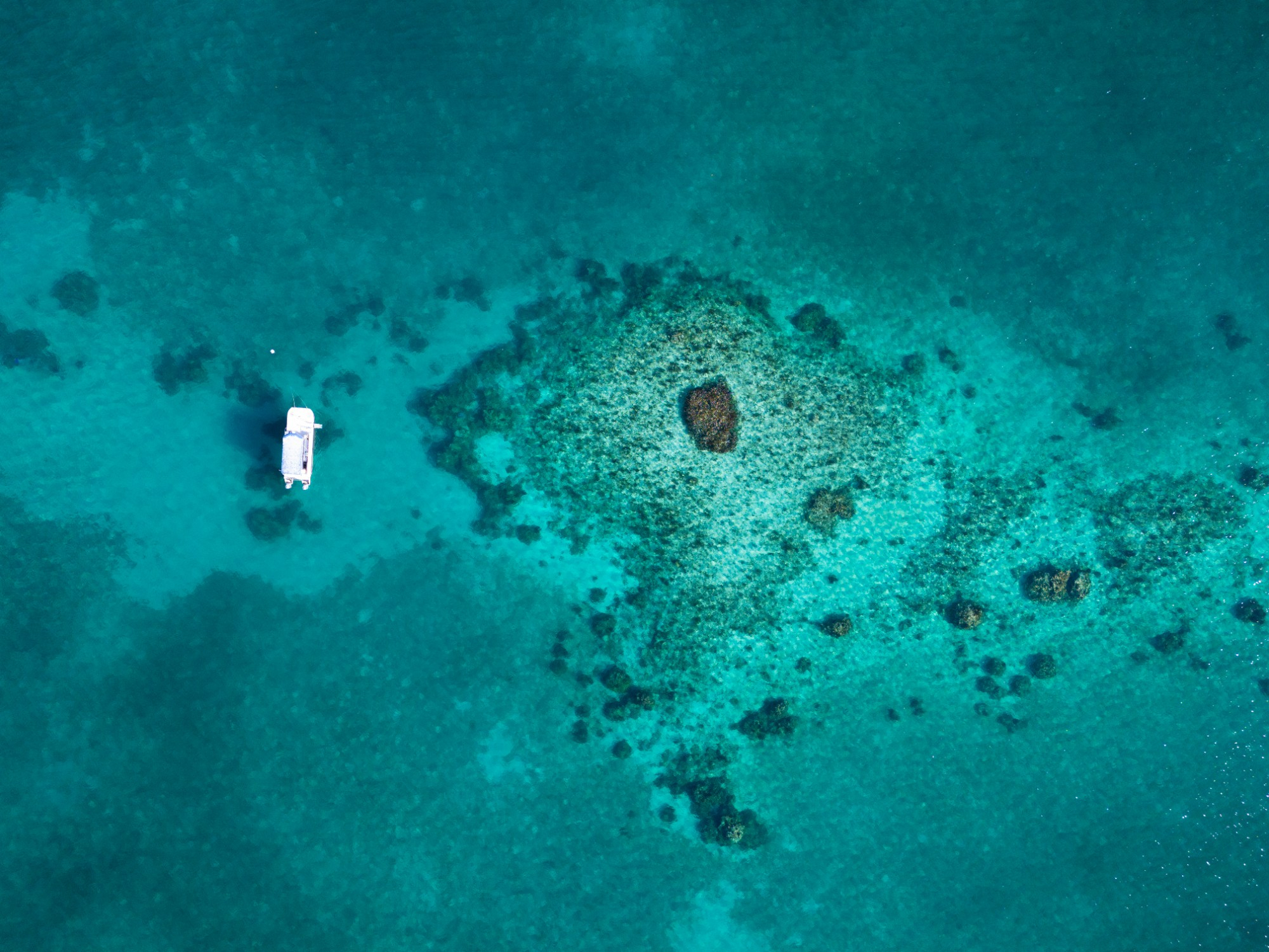 Sunset Reef dive site - Image 1