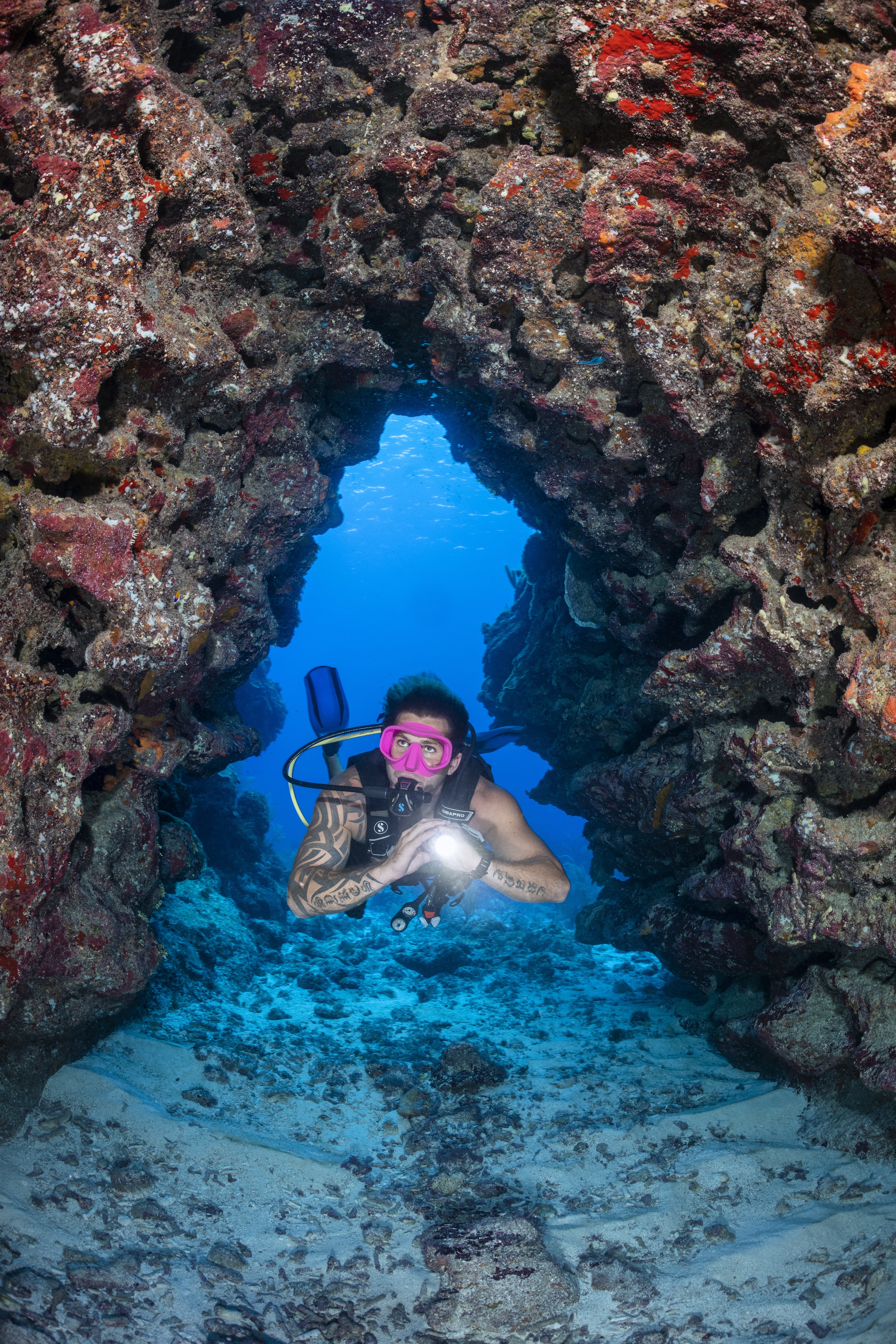 Crusher's Wall dive site - Image 2