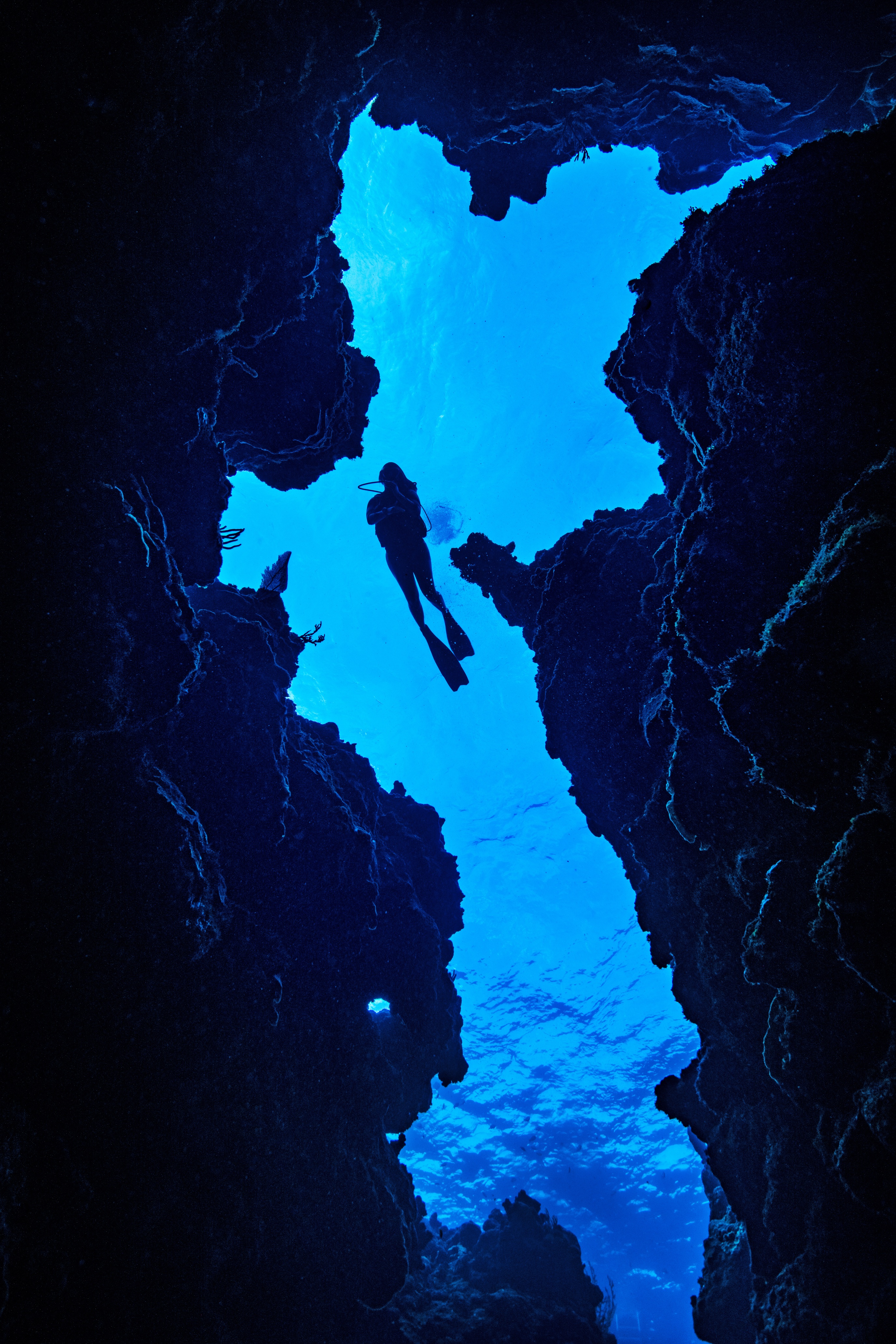 Jack McKenney's Canyons dive site - Image 1