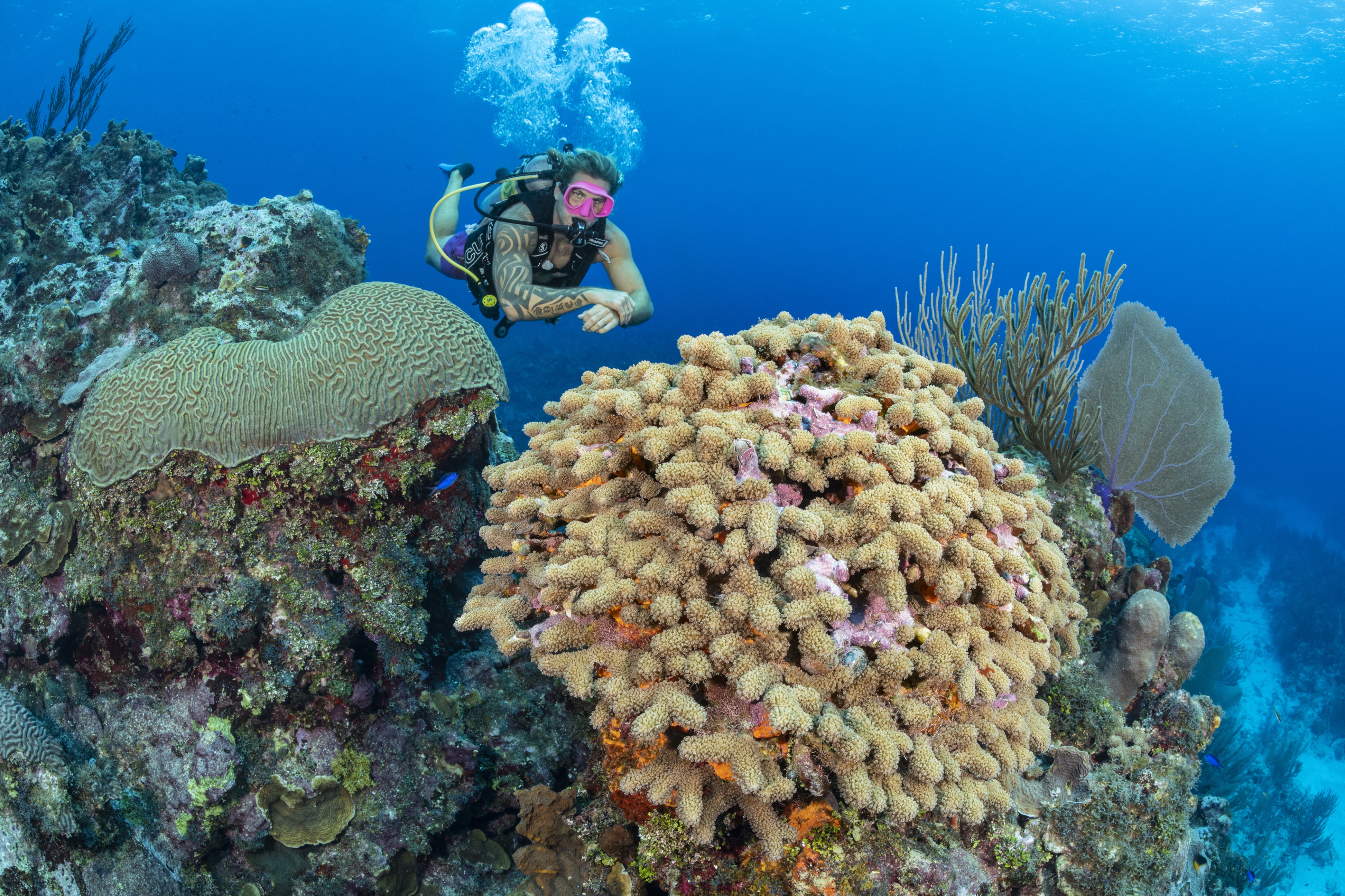 Little House on the Prairie dive site - Image 1