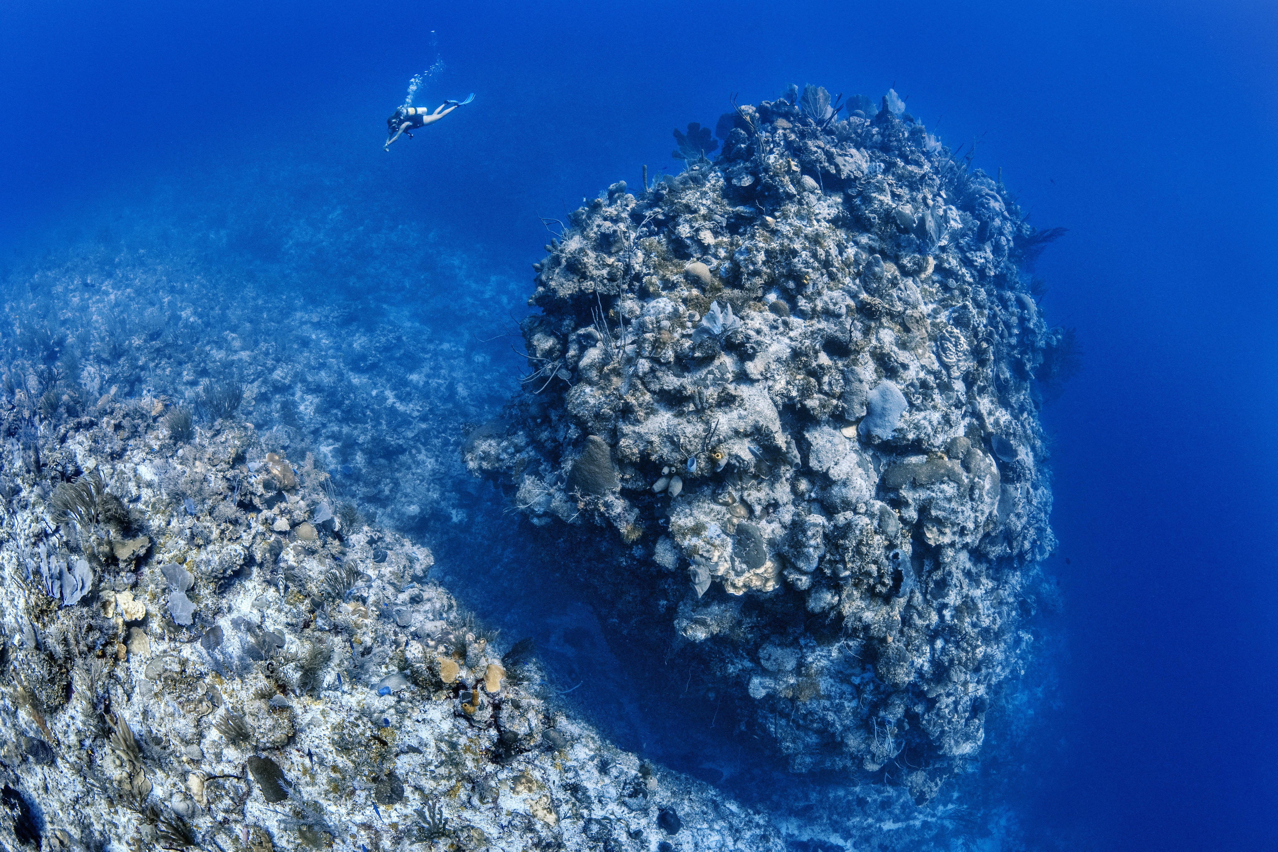 Three Sisters dive site - Image 1
