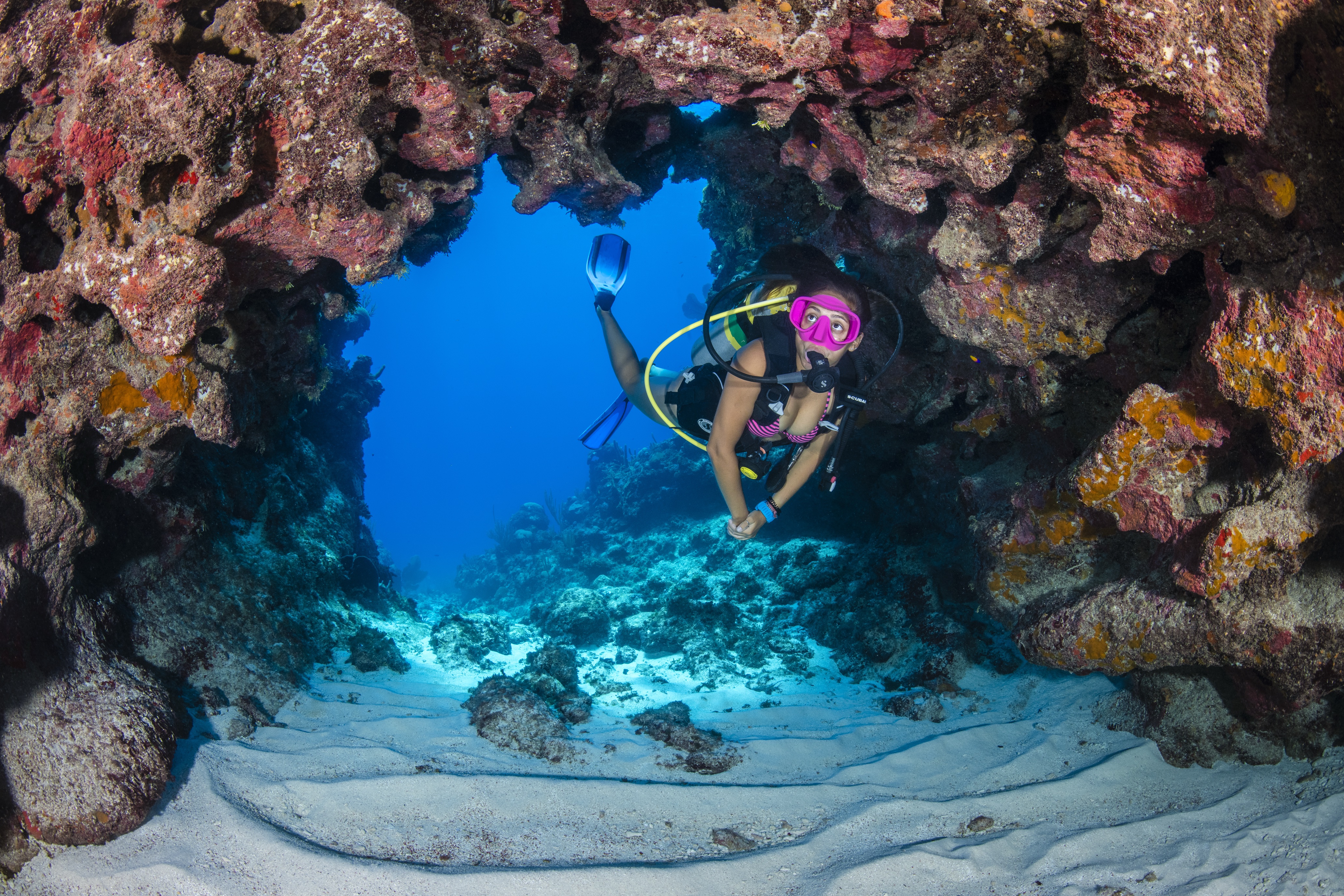 Lodge Anchor dive site - Image 2