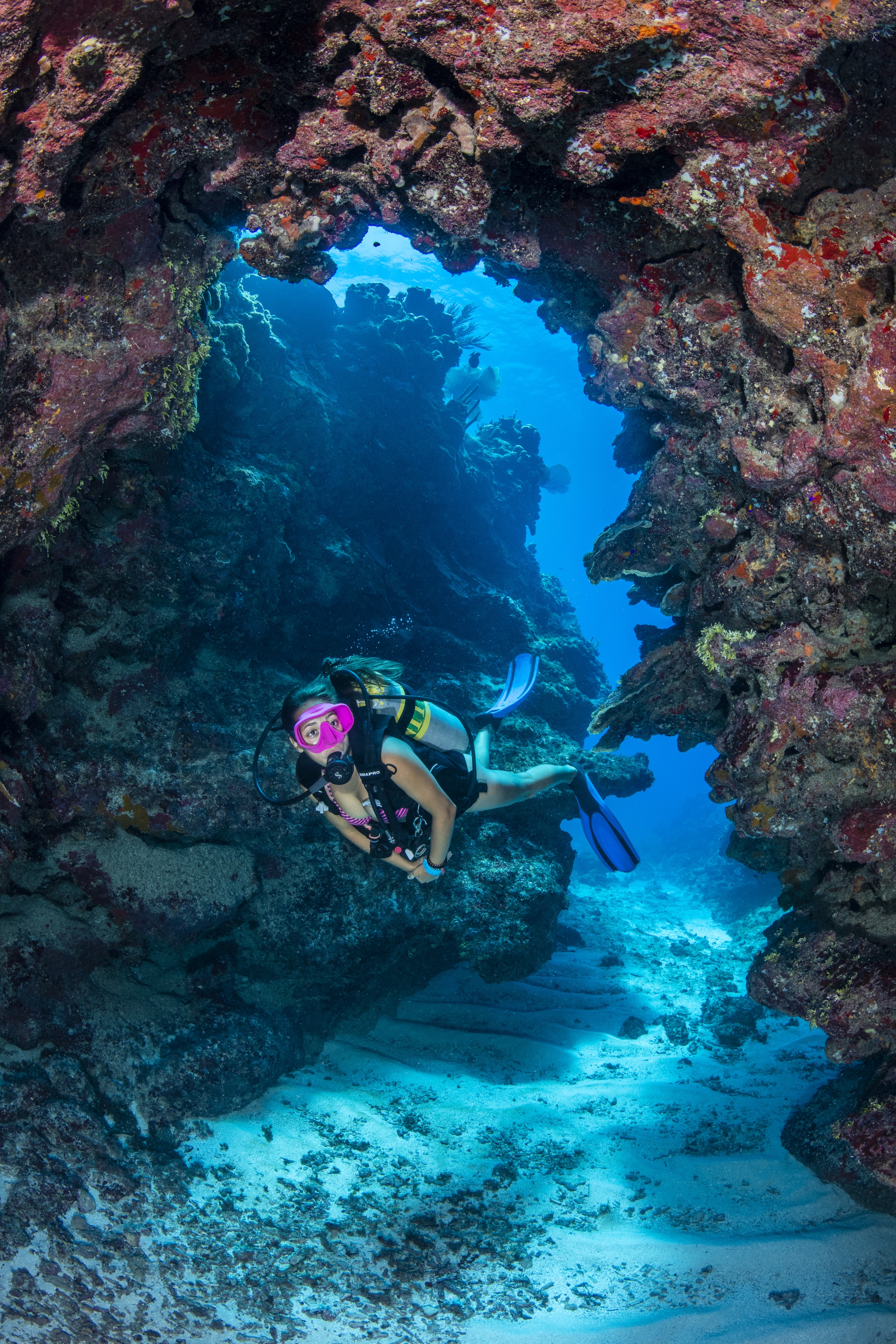 Pat's Wall dive site - Image 2