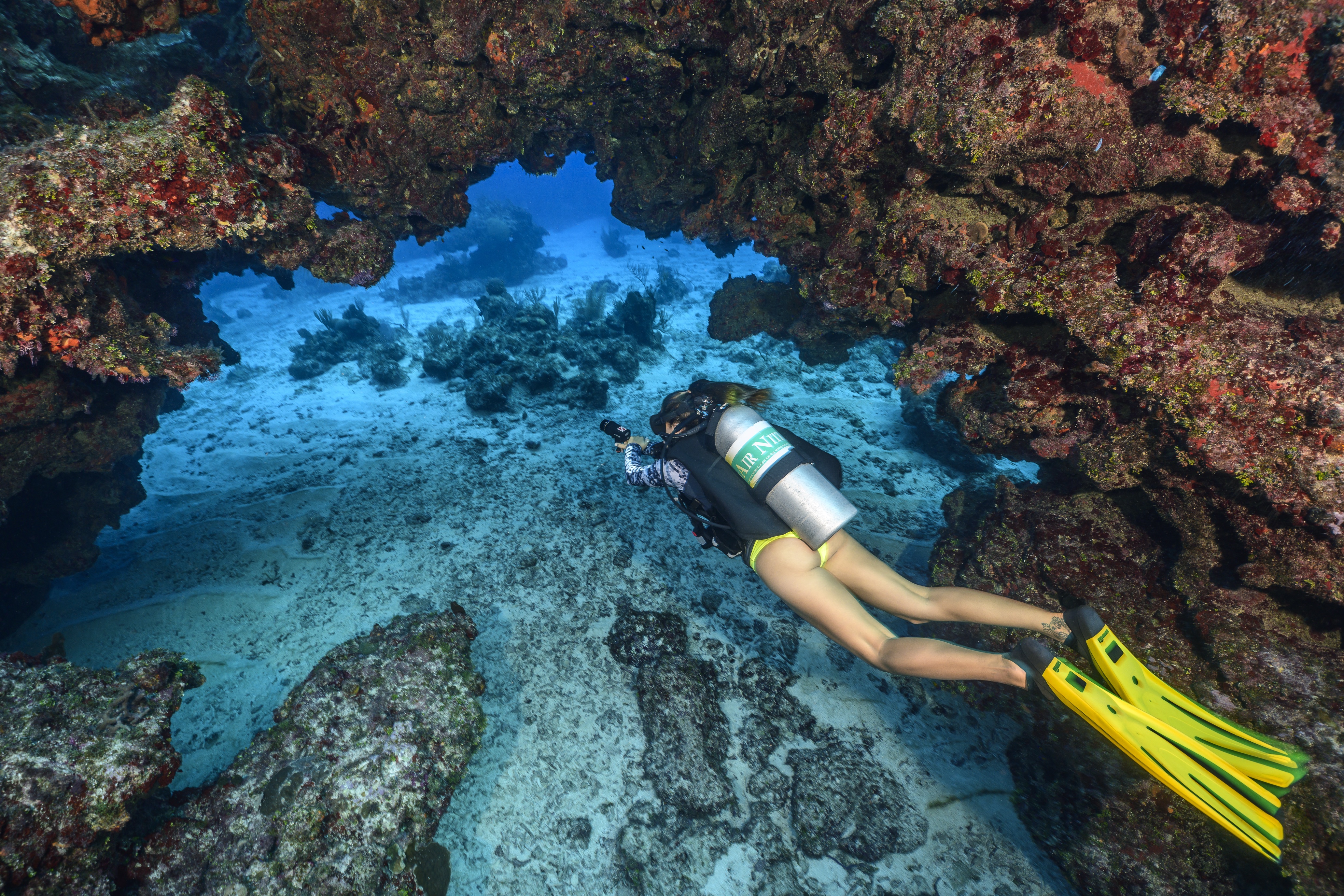Maggie's Maze dive site - Image 1