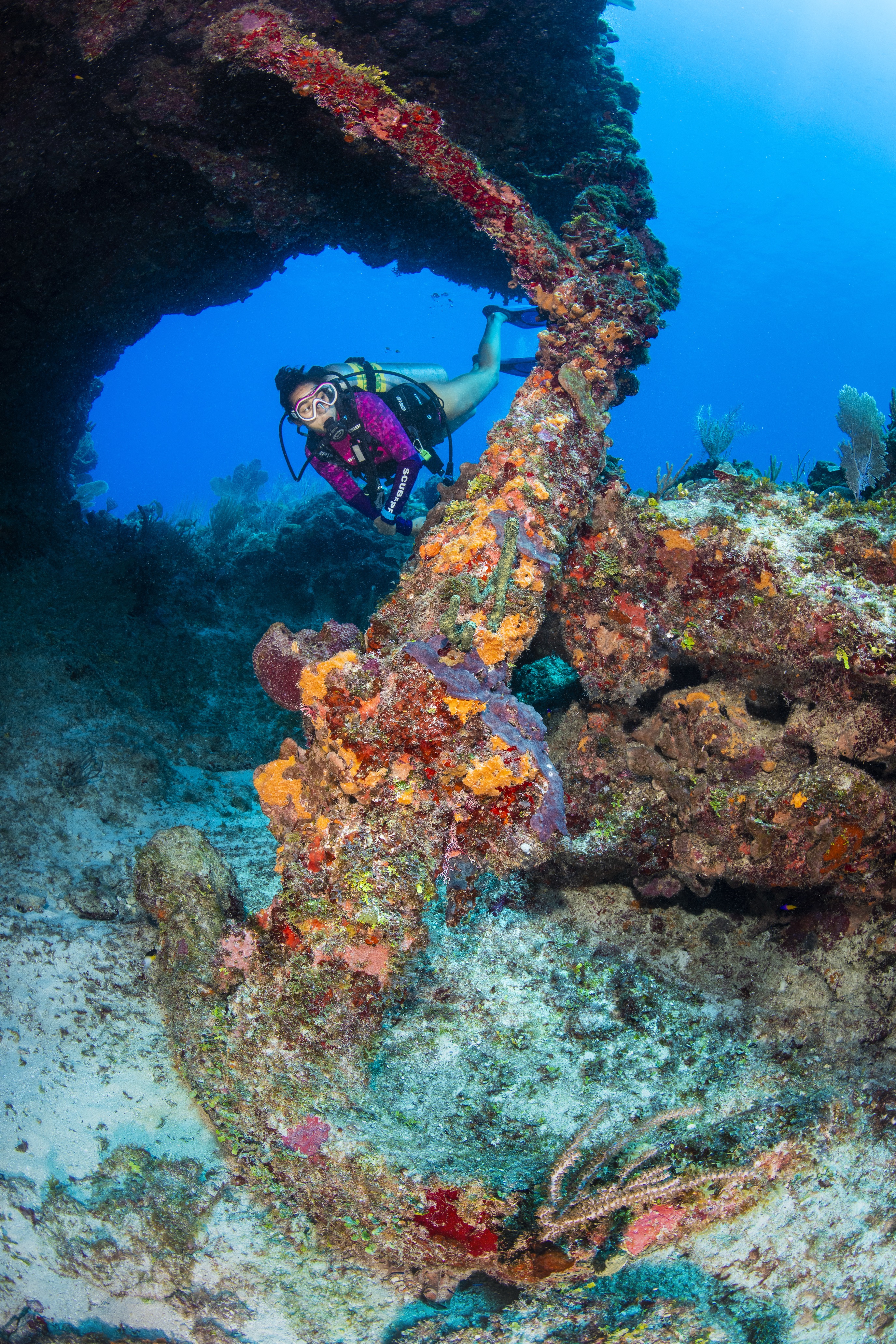 Snapper Hole dive site - Image 1