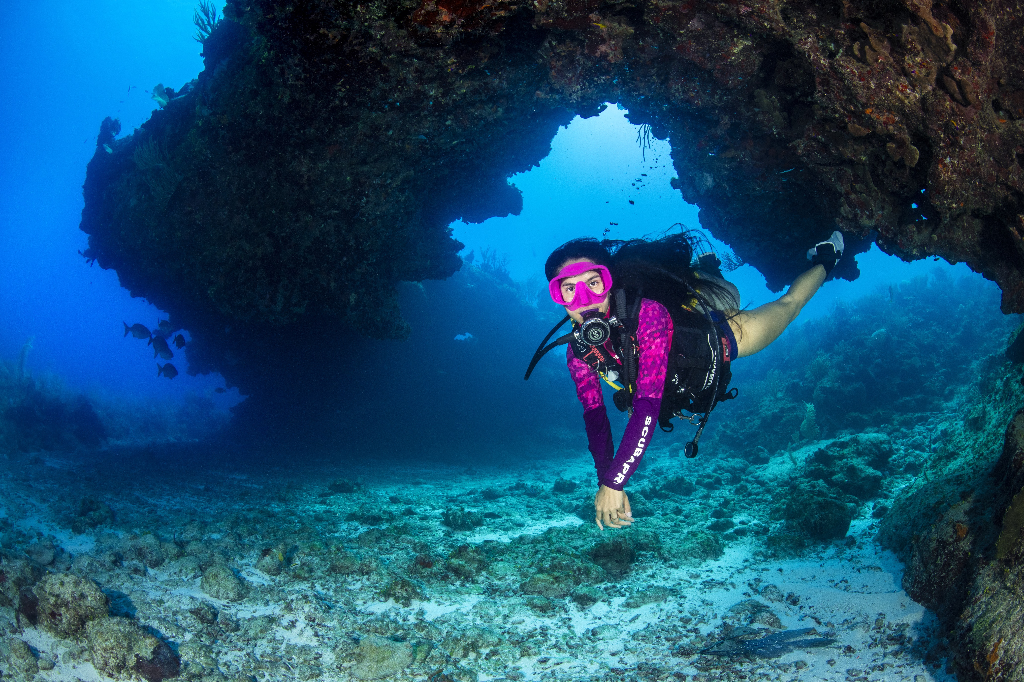 The Arch dive site - Image 2
