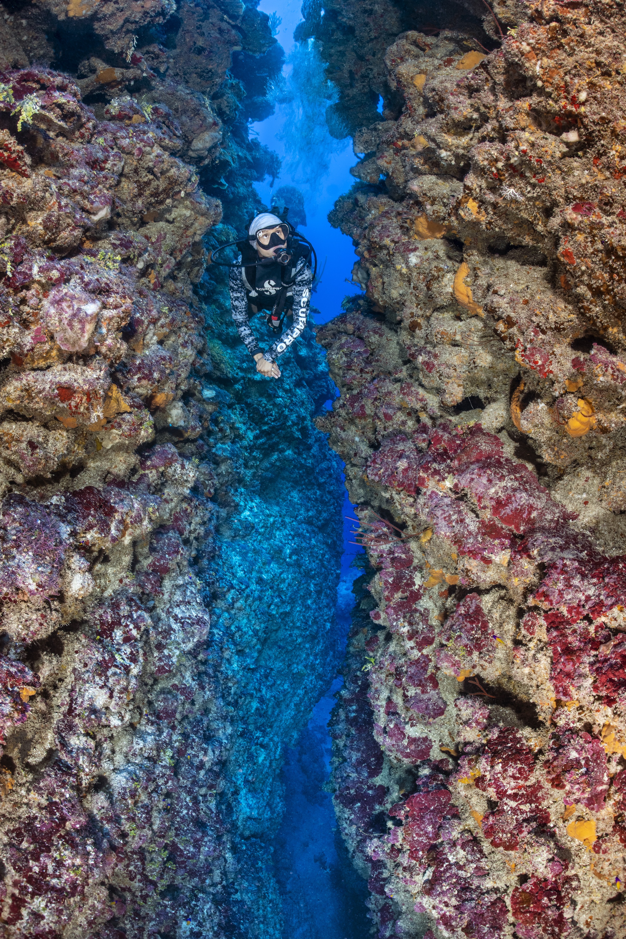 The Maze dive site - Image 1