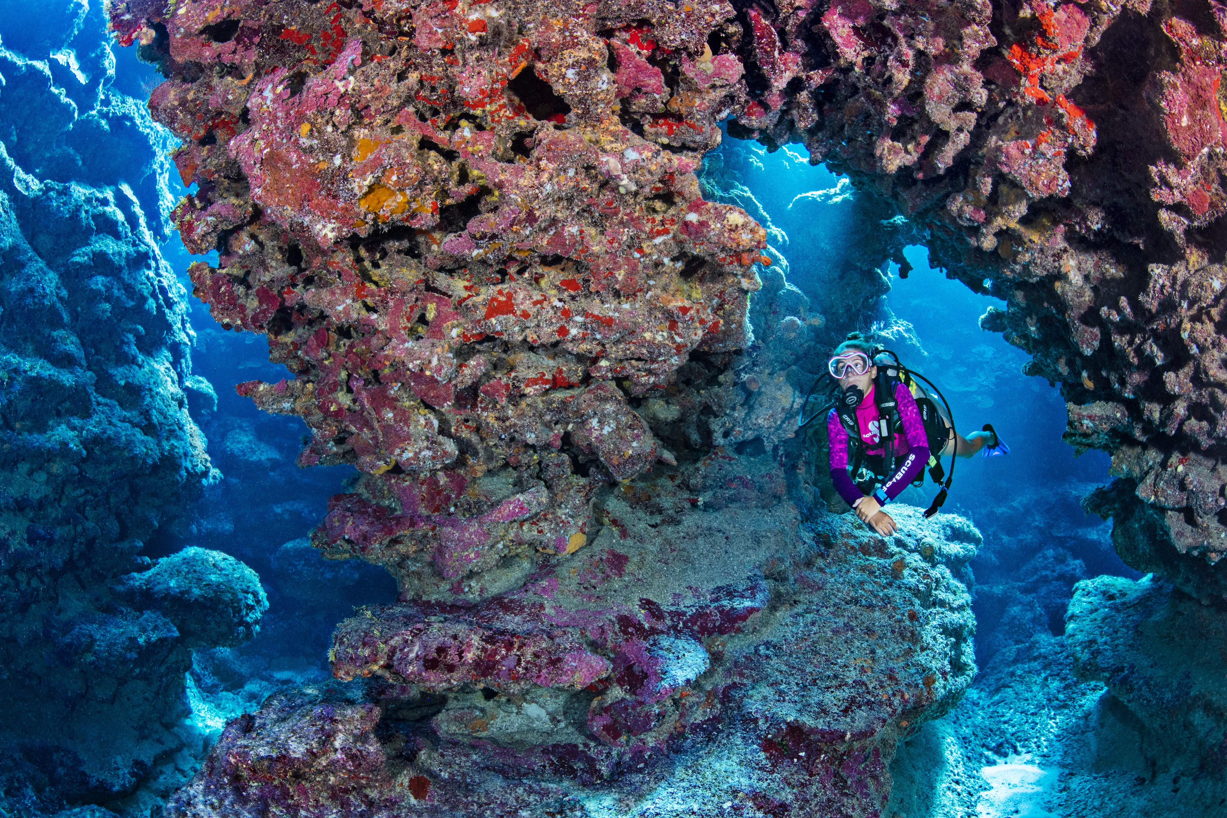 Snapper Hole dive site - Image 2