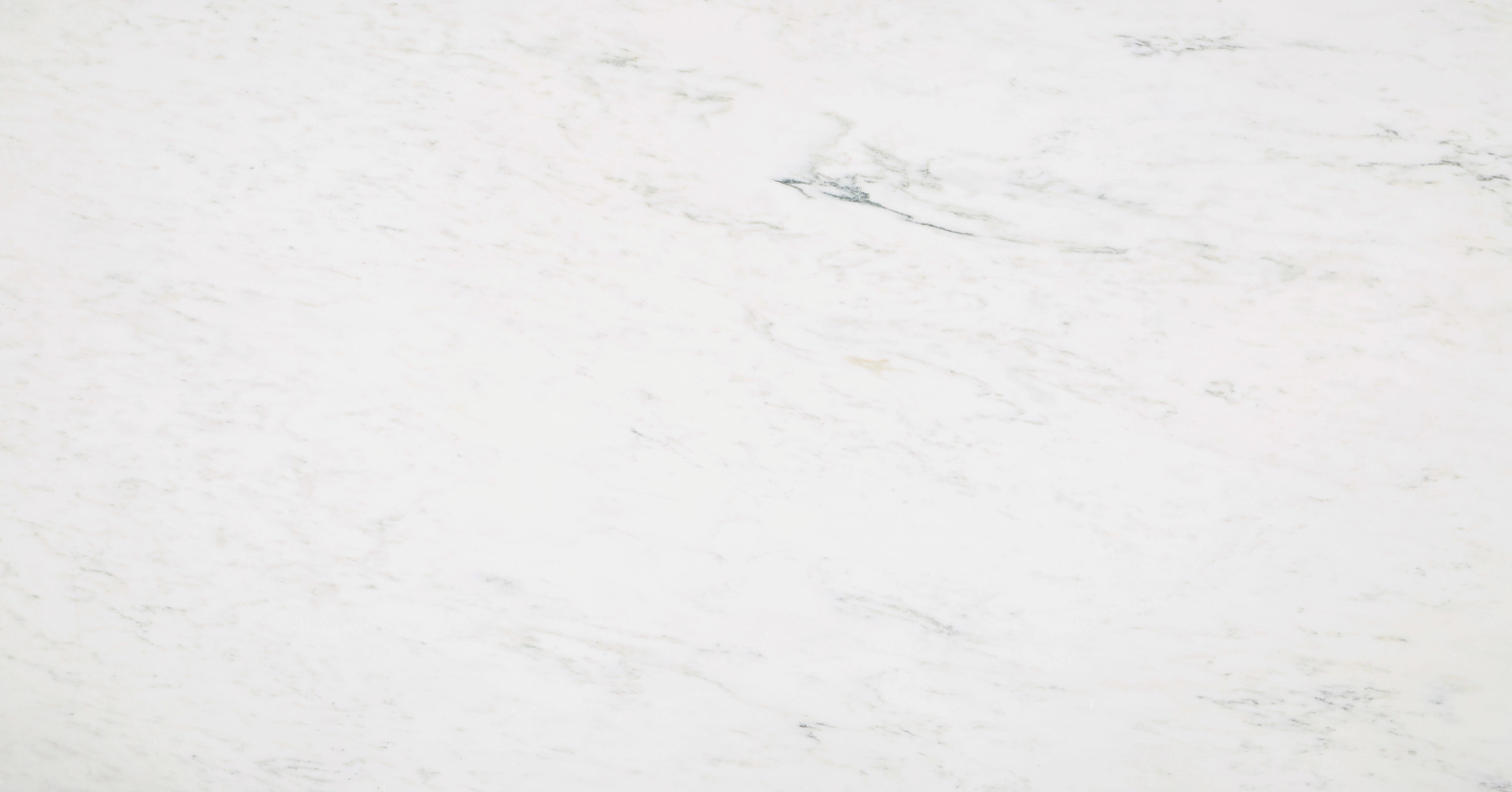 Olympian White Honed Marble scene 1