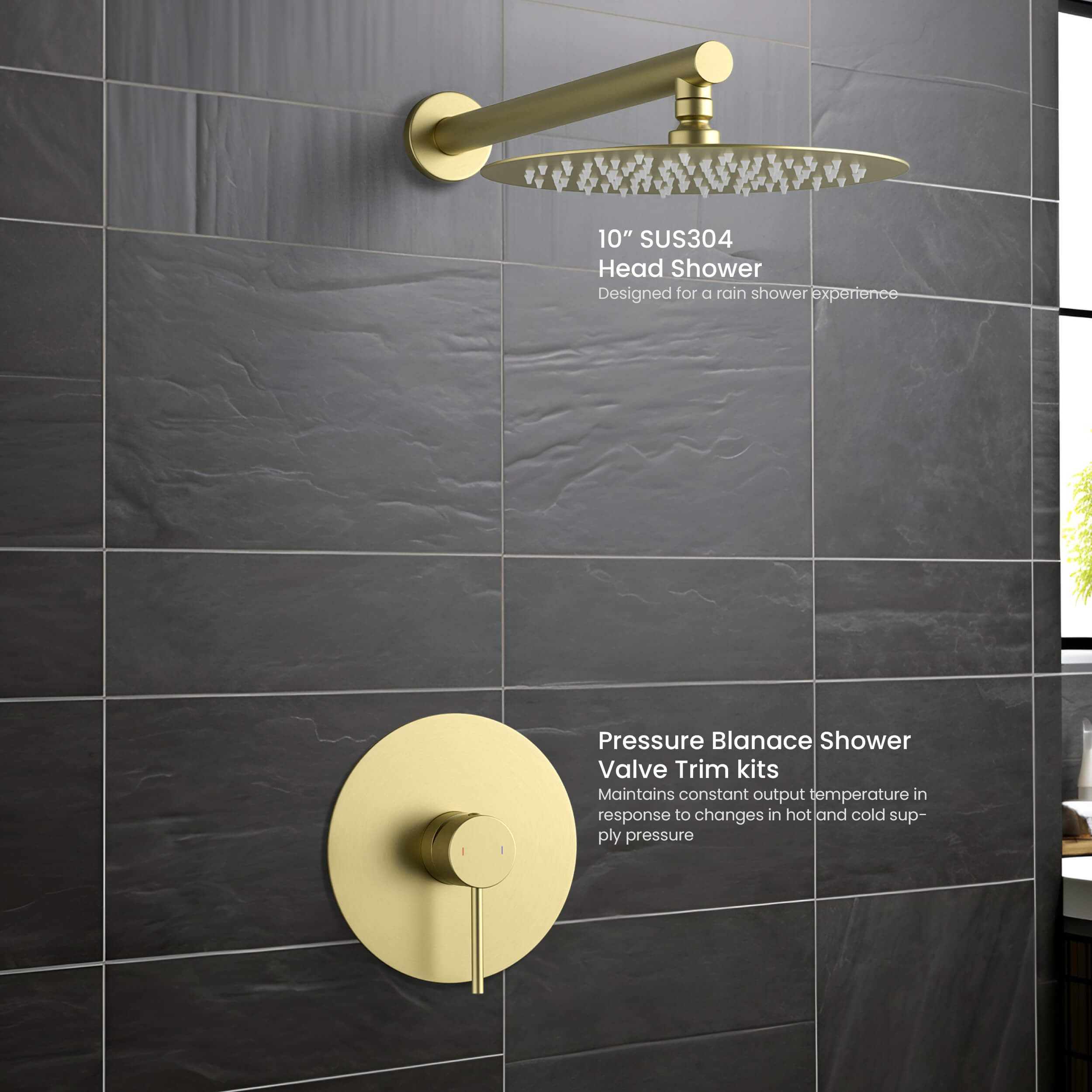 Circular Pressure Balanced Single Function Shower System with Rough In Valve KSF407 view 4