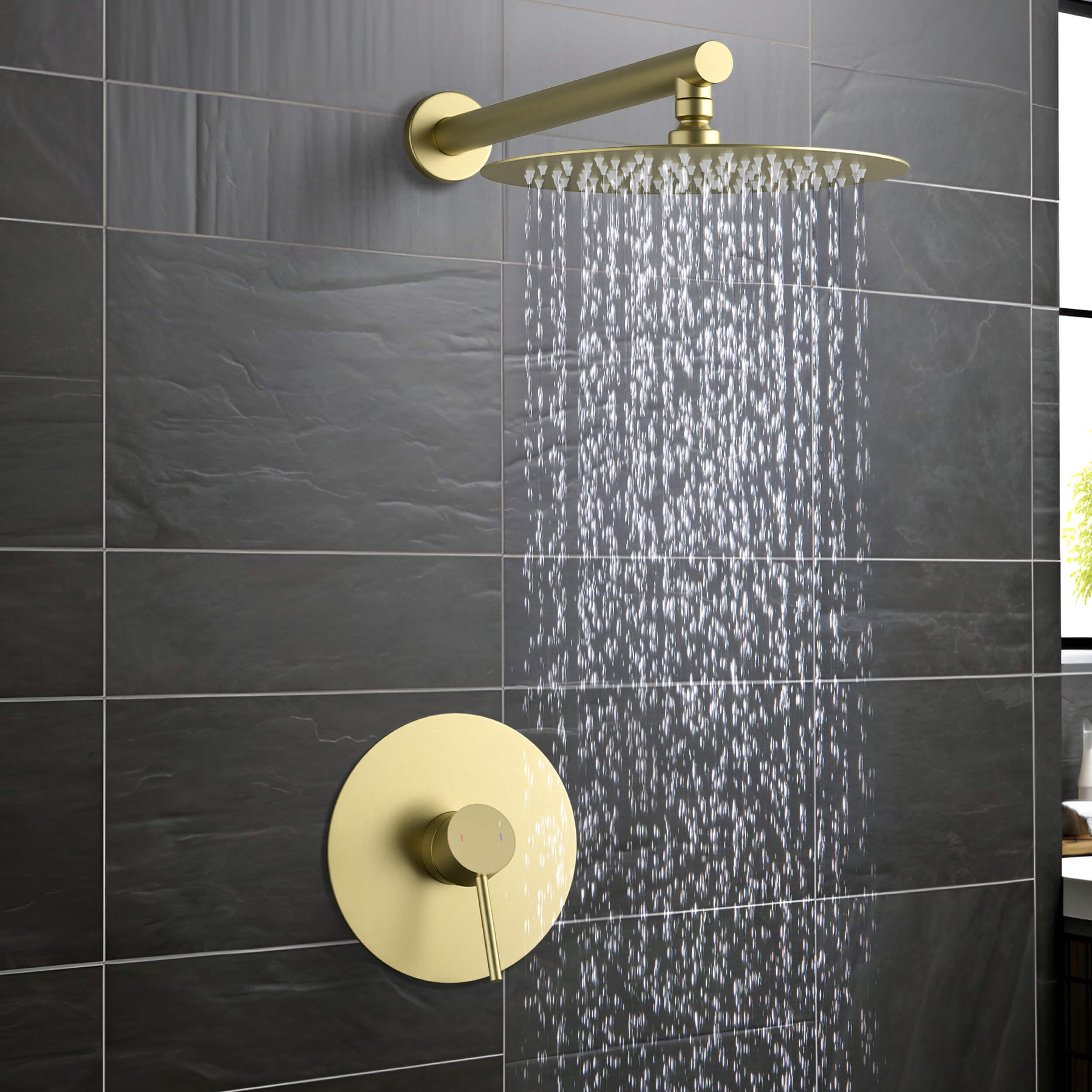 Circular Pressure Balanced Single Function Shower System with Rough In Valve KSF407 view 2