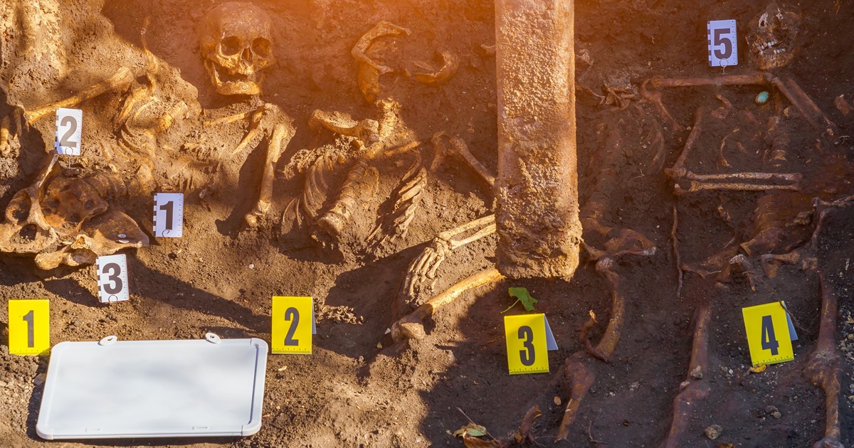 DISASTER VICTIM IDENTIFICATION THROUGH FORENSIC
ANTHROPOLOGY