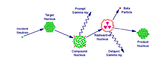 Neutron Activation Analysis and Forensic Significance 