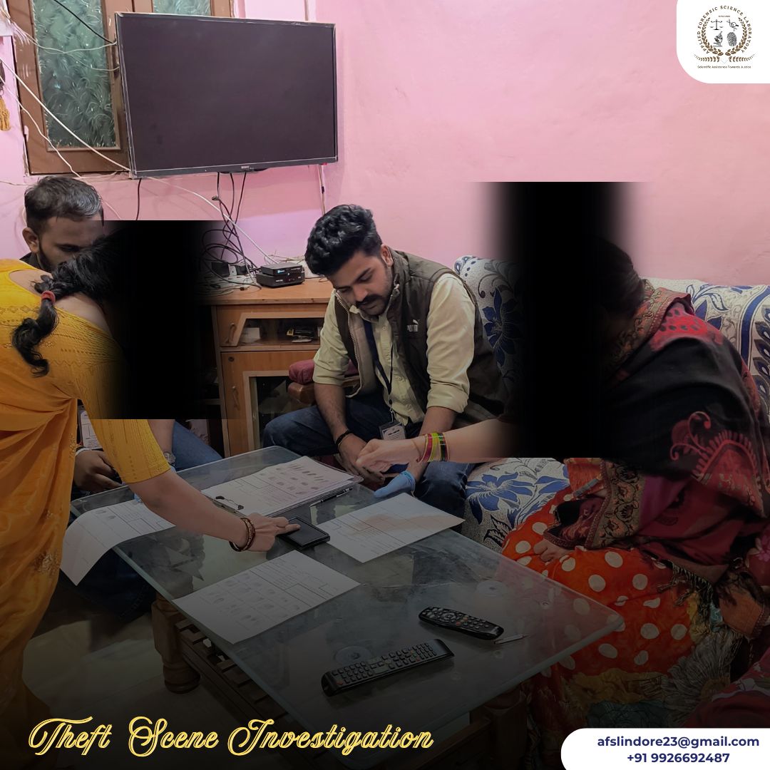 Burglary Case Investigation