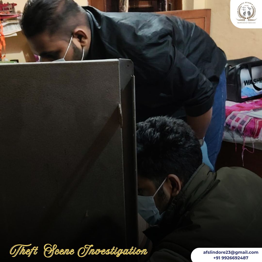 Burglary Case Investigation