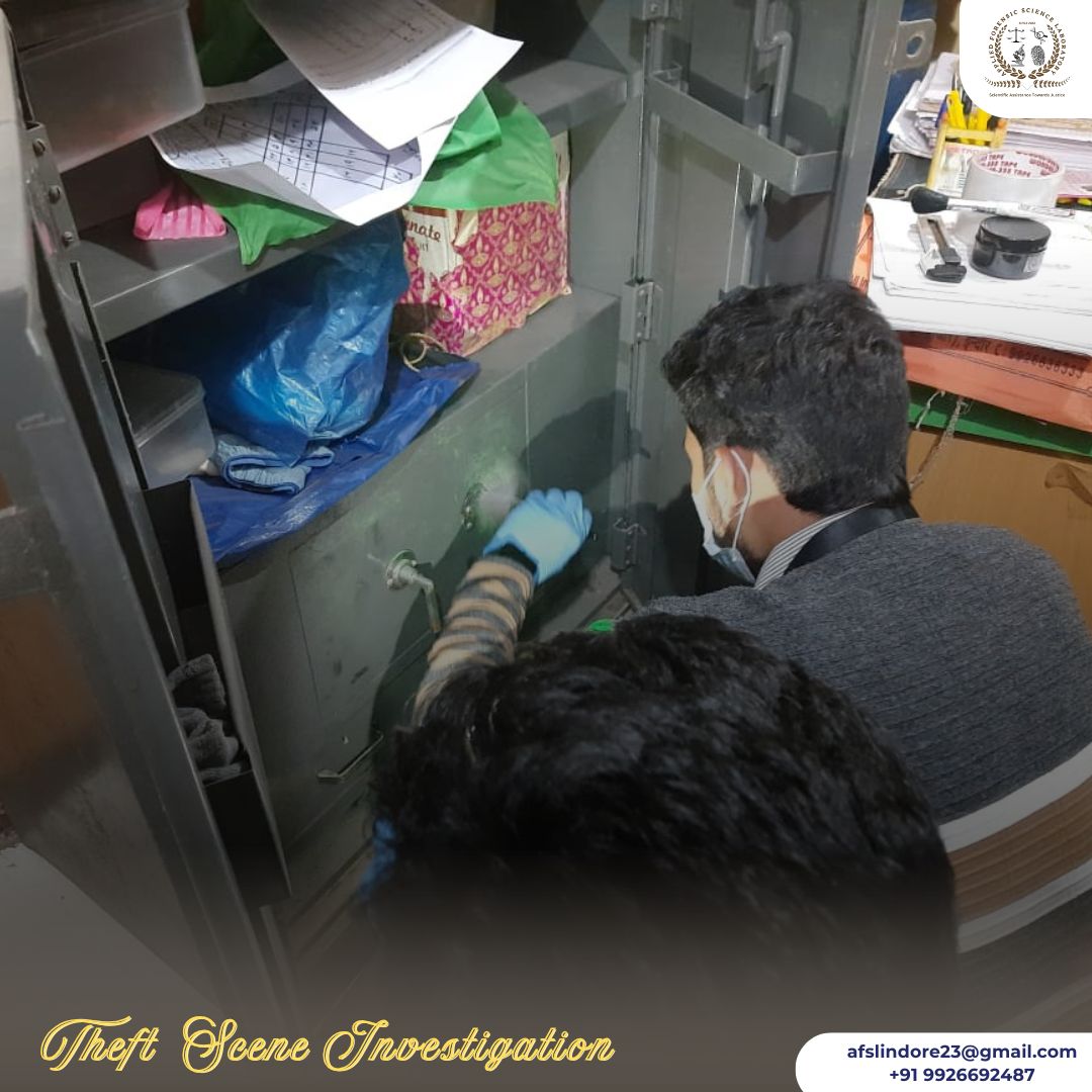 Burglary Case Investigation