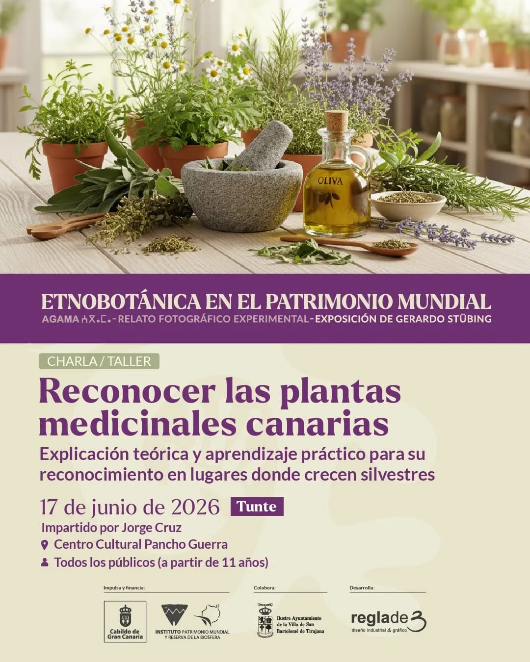 Imagen del evento Charla  Reconocer las plantas medicinales canarias junio-2026
