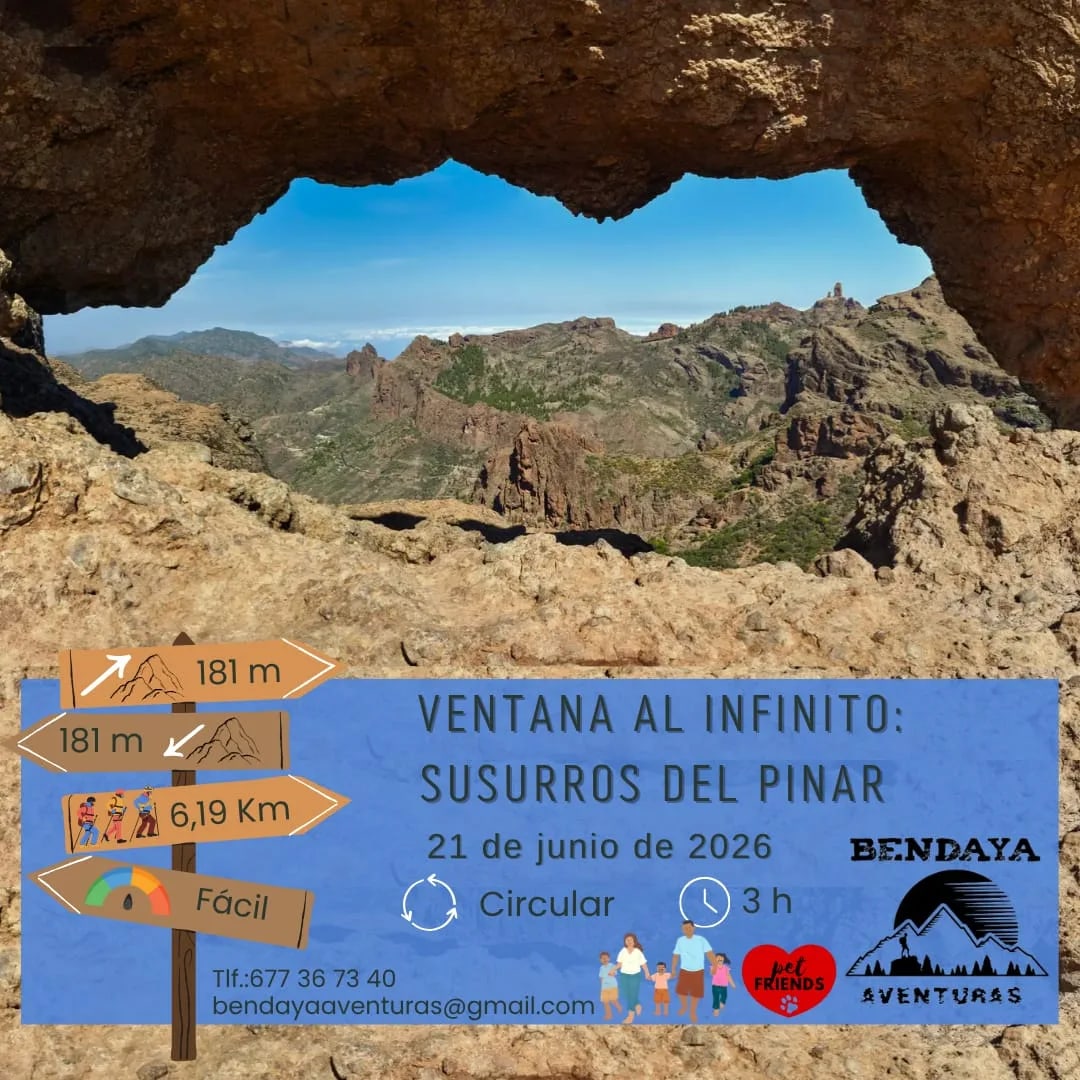 Imagen del evento Hiking  Window to Infinity Whispers of the Pine Forest junio-2026
