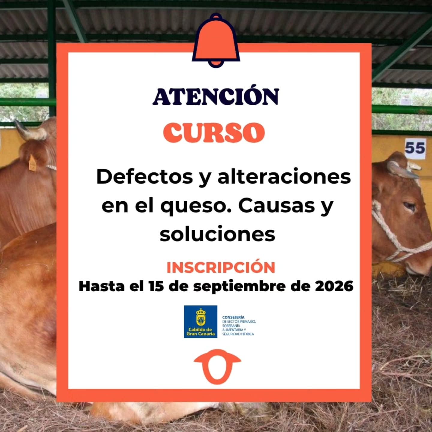Imagen del evento Defectos y alteraciones en el queso Causas y soluciones