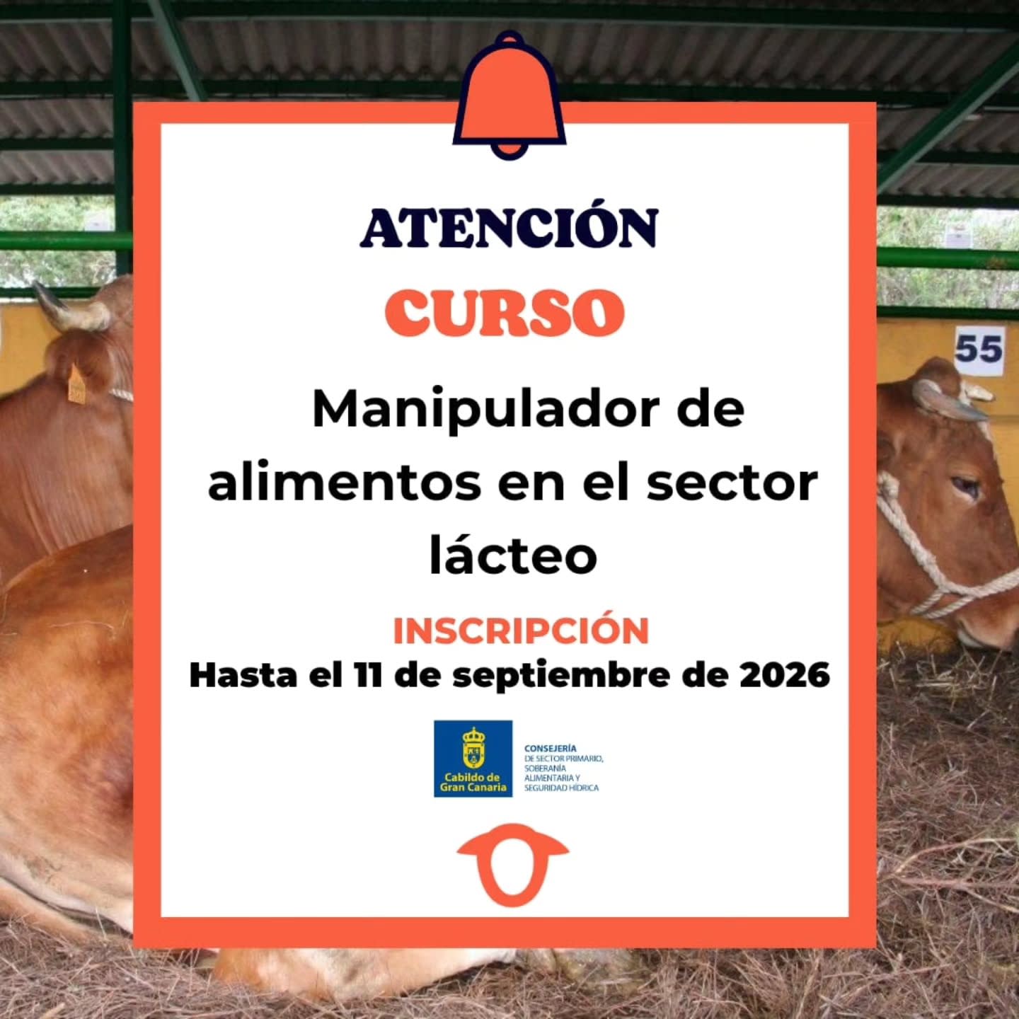 Imagen del evento Manipulador de alimentos en el sector lacteo