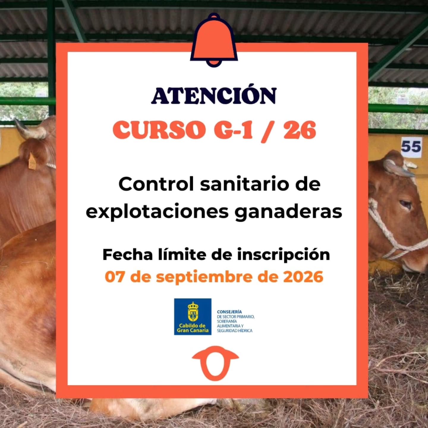 Imagen del evento Control sanitario de explotaciones ganaderas