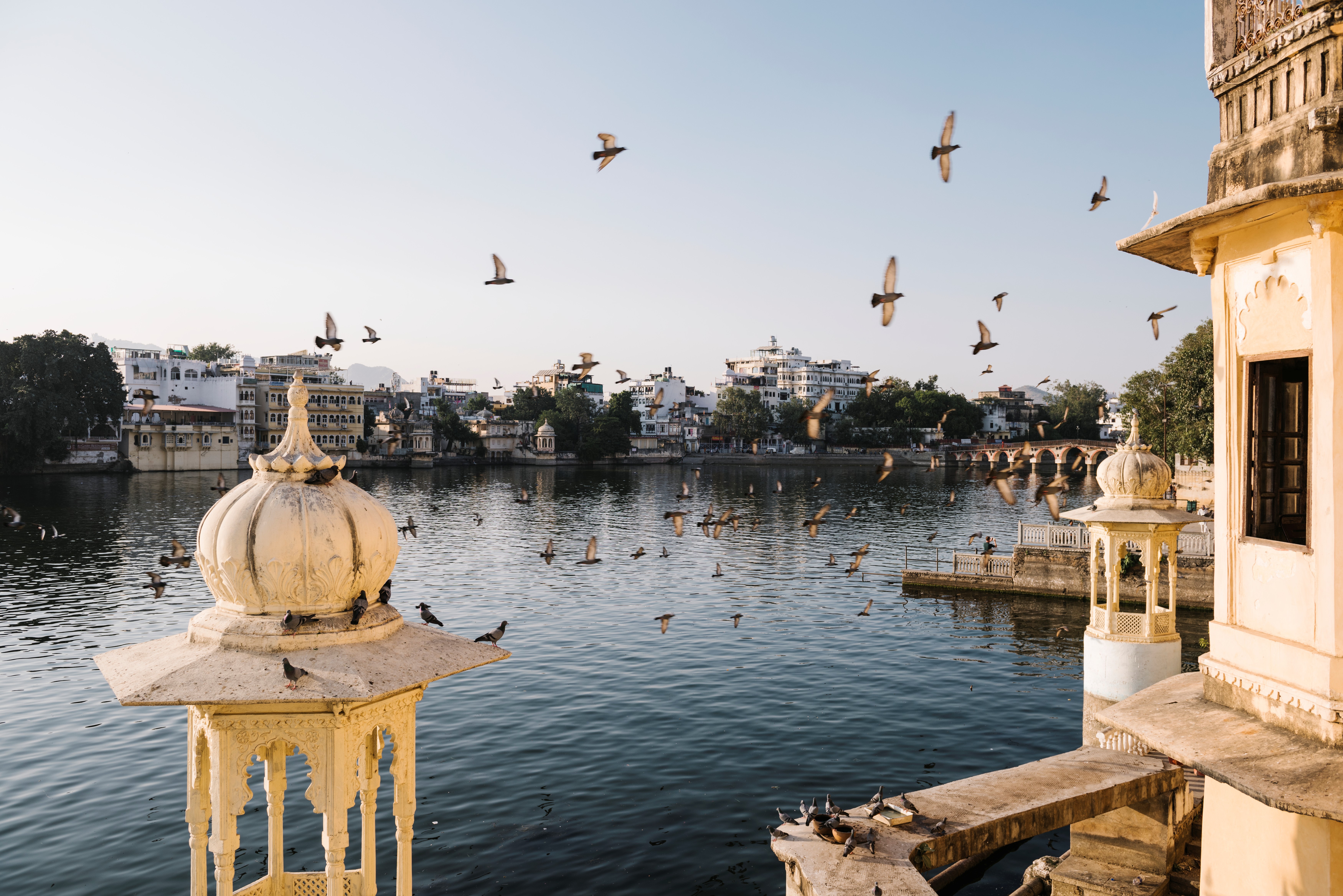 Rajasthan Palace
