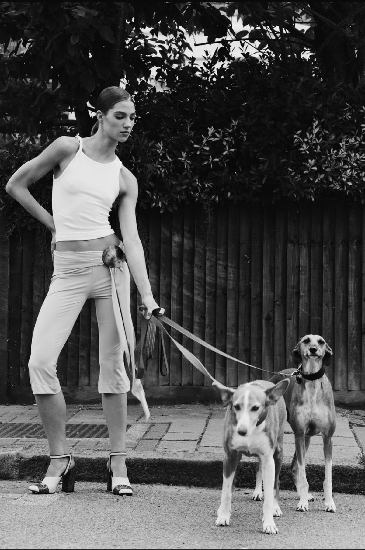 0acc5c09-dd93-49ea-bc47-d4f22c2a6b12_wpje1s