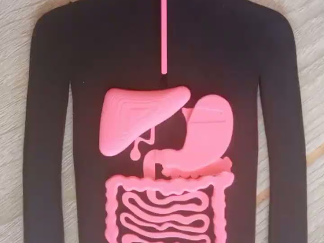 STEM education models in use