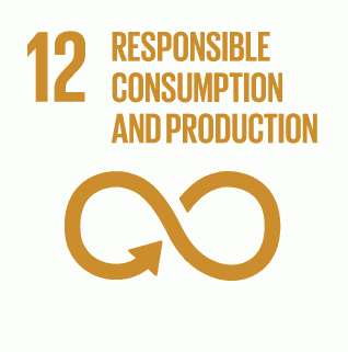 Responsible Consumption (SDG 12)