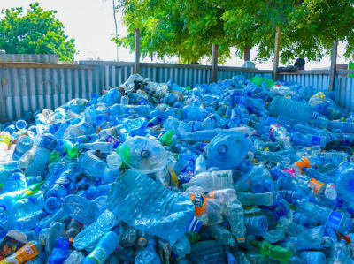 Sorting and cleaning