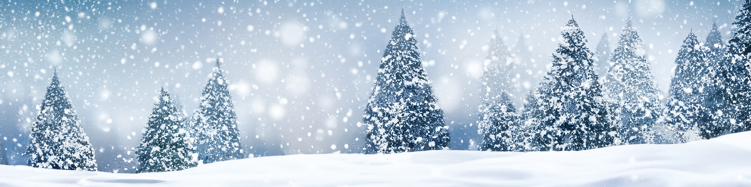 Holiday Hours banner