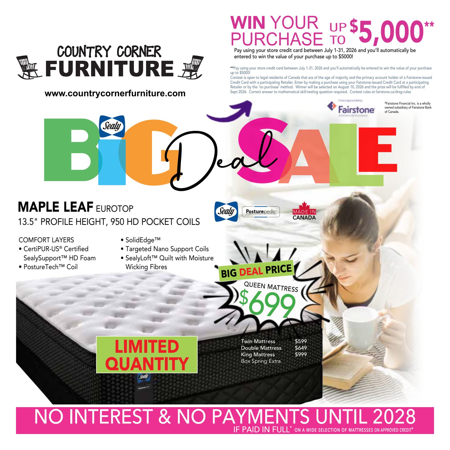 Flyer 3