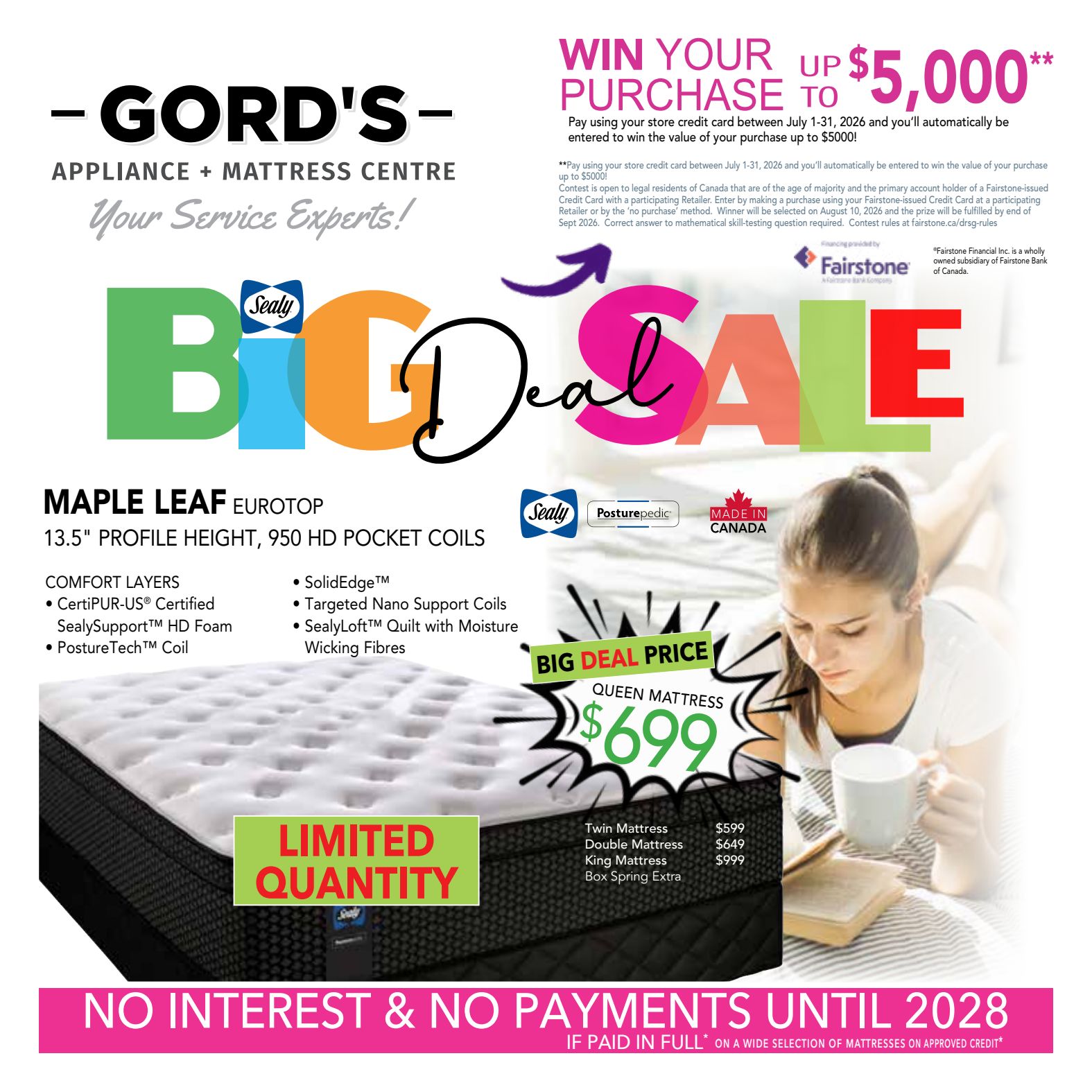 Flyer 3