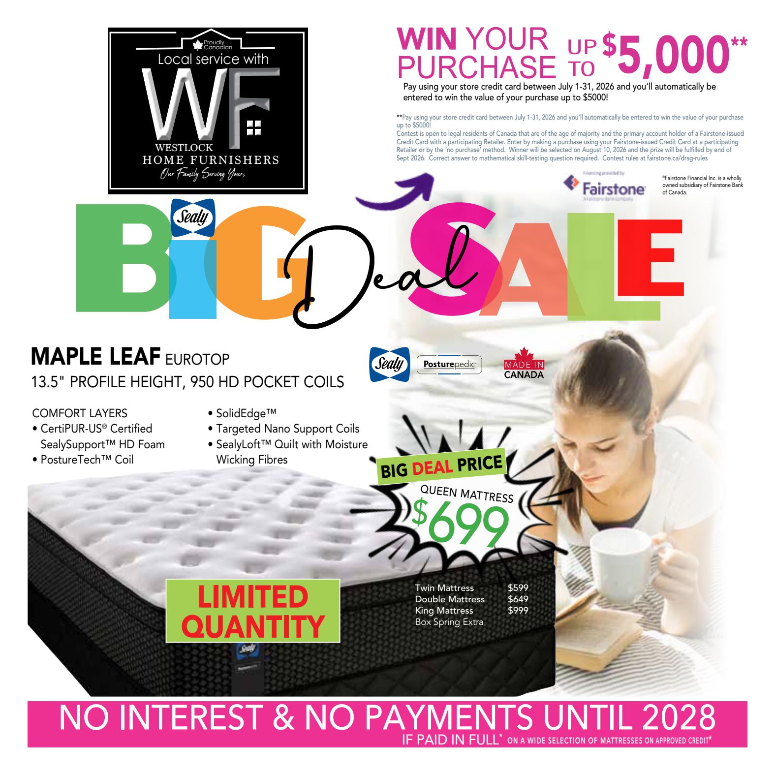Flyer 3