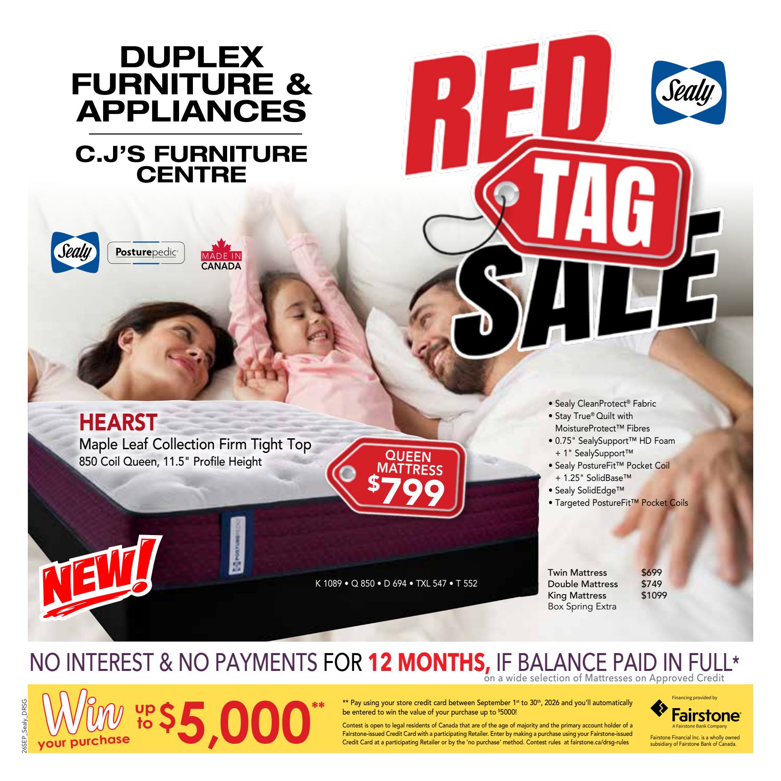 Duplex promotional flyer 2